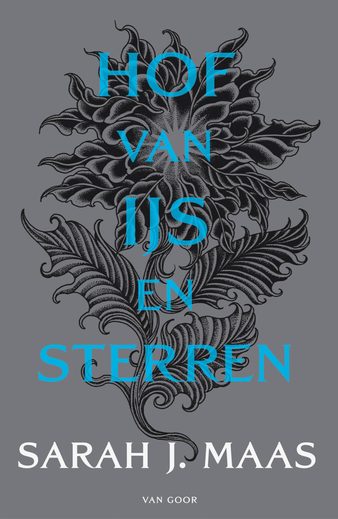 Hof van ijs en sterren: novelle (Hof van doorns en rozen, 4) Contemporary literature