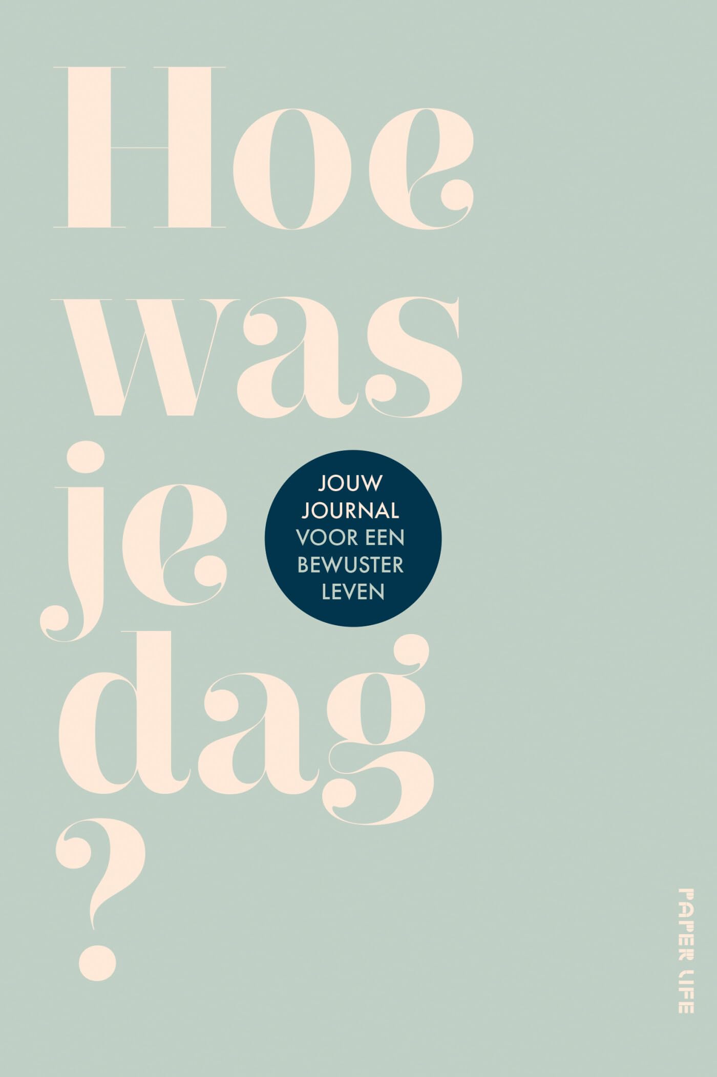 Hoe was je dag?: Journal voor een bewuster leven book