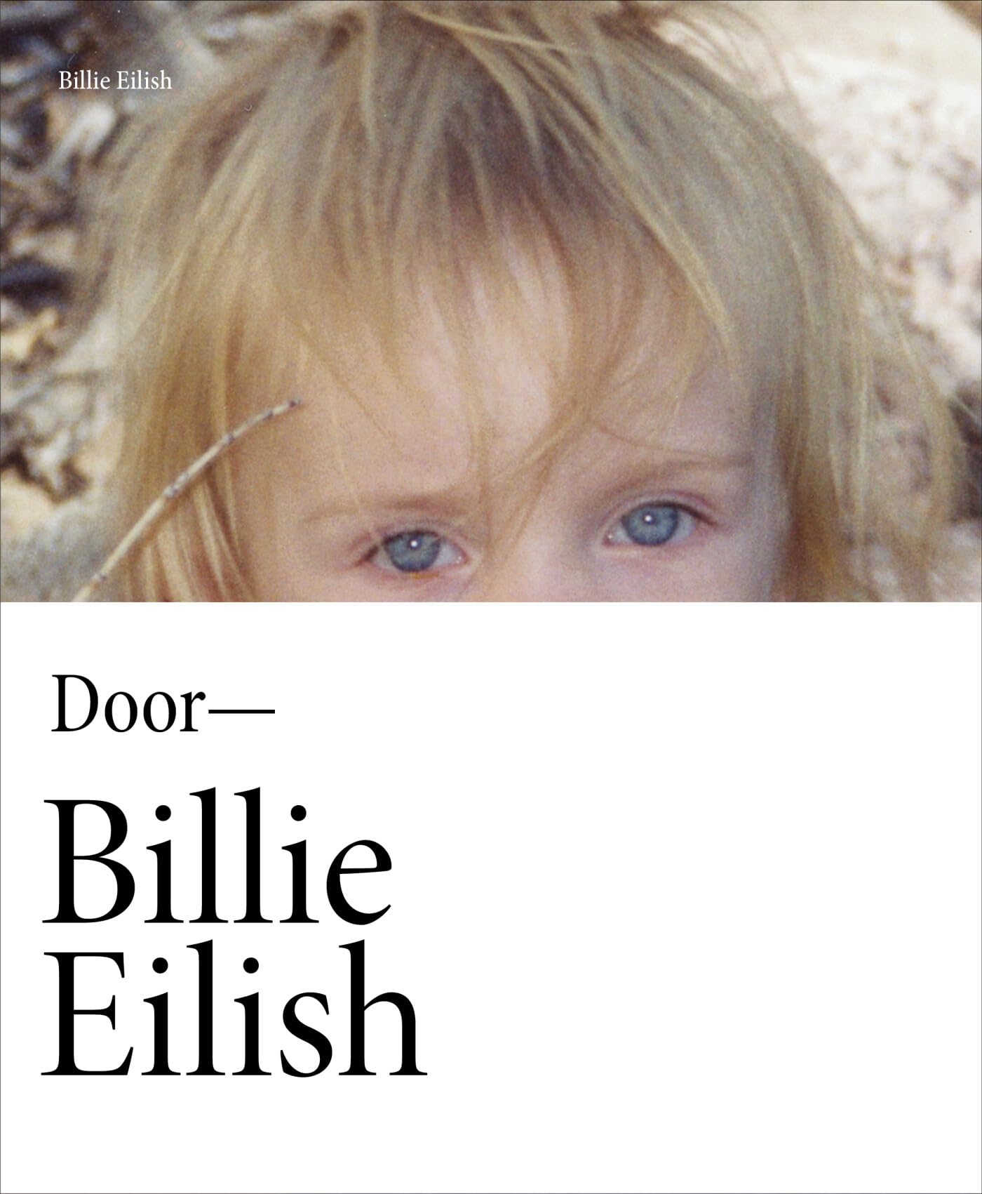 Billie Eilish: Het officiële fotoboek Pop culture