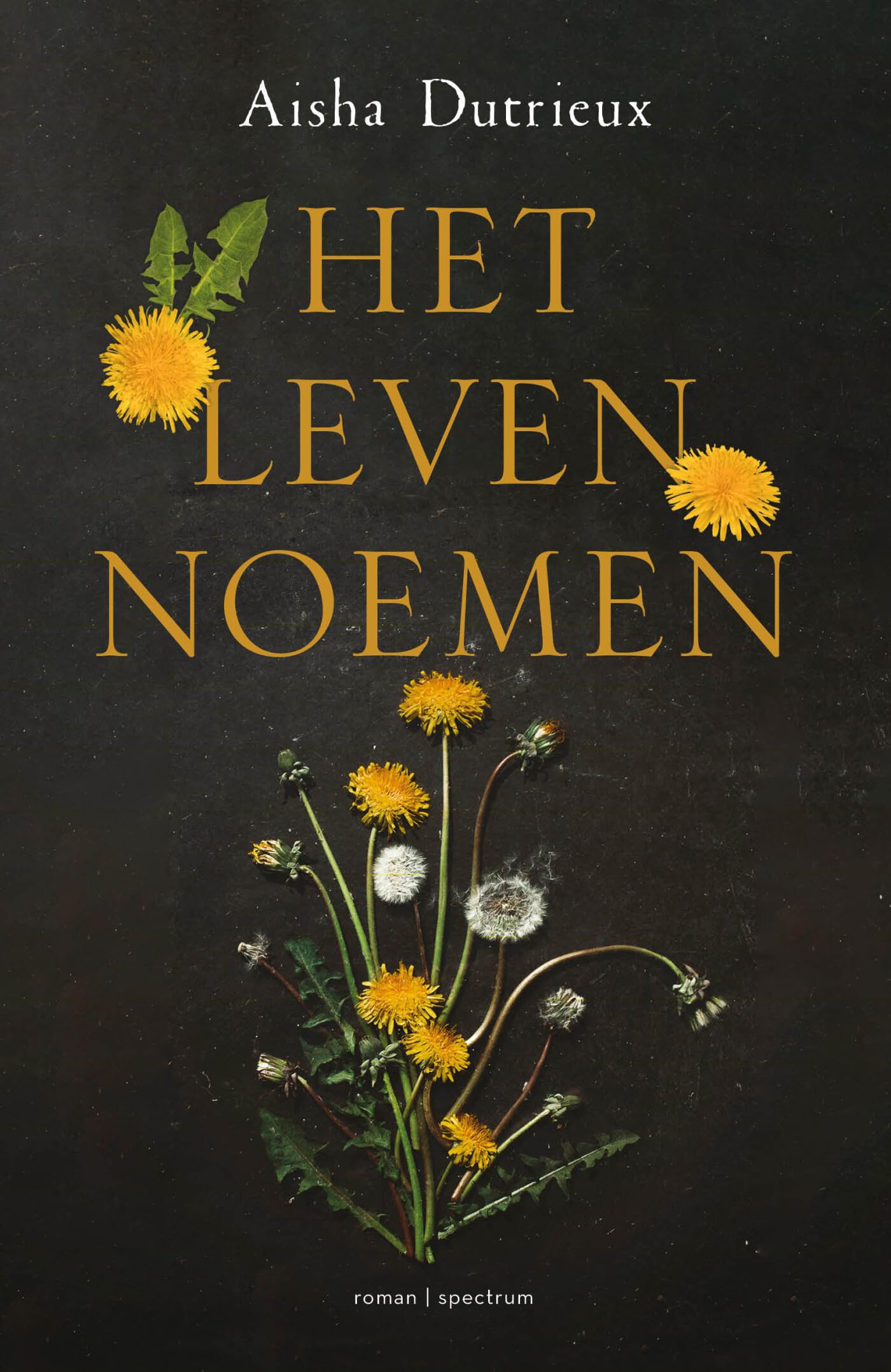Het leven noemen: roman book