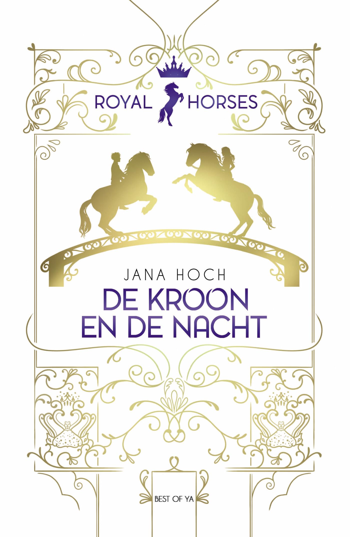 De kroon en de nacht book