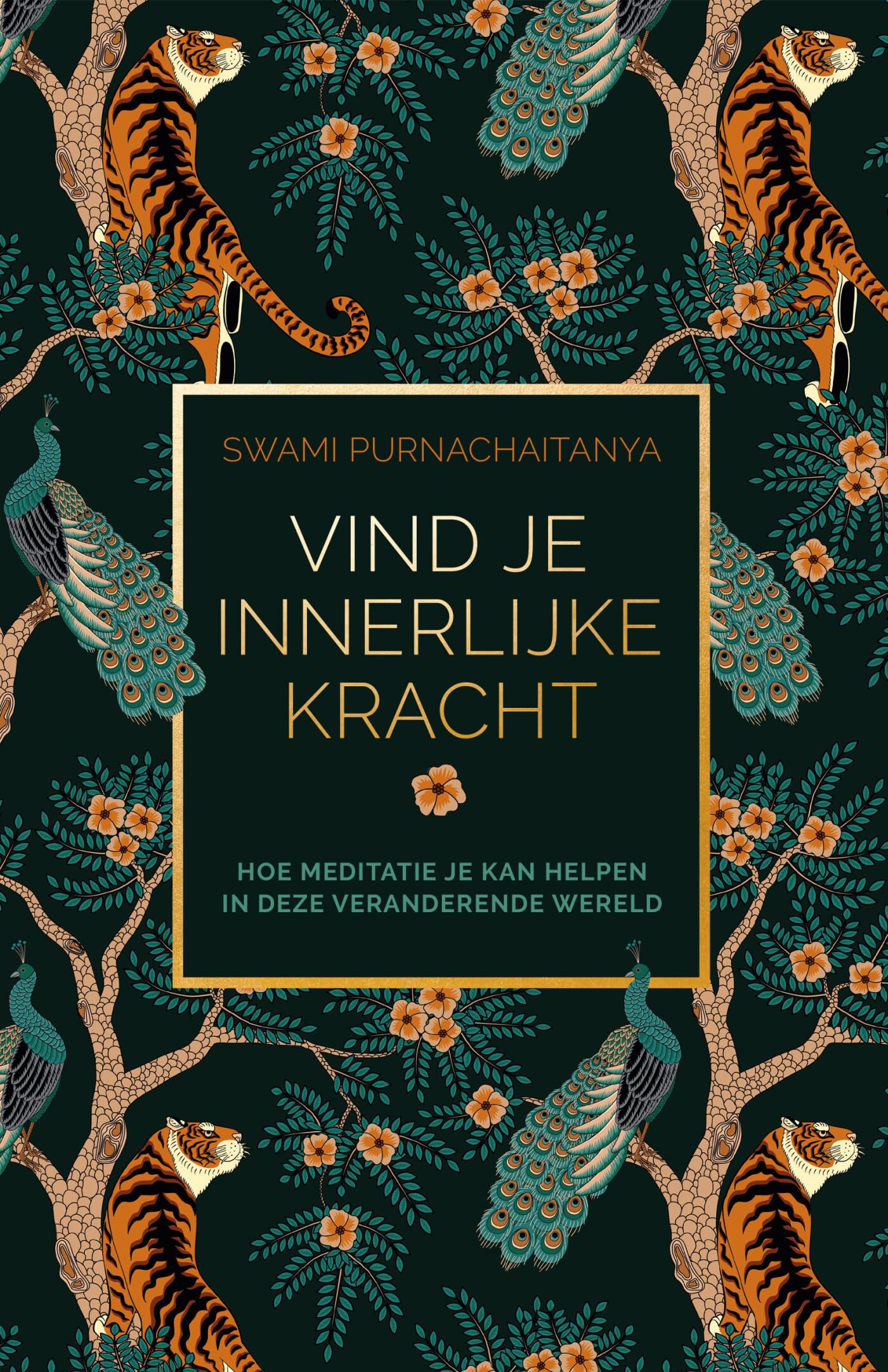 Vind je innerlijke kracht: hoe meditatie je kan helpen in deze veranderende wereld Business, Finance & Career