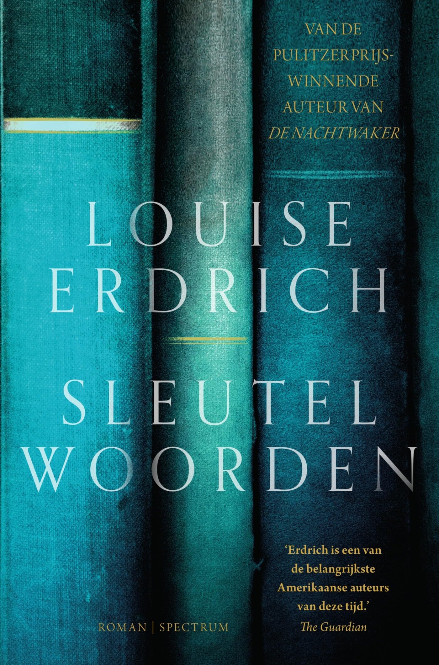 Sleutelwoorden: roman book