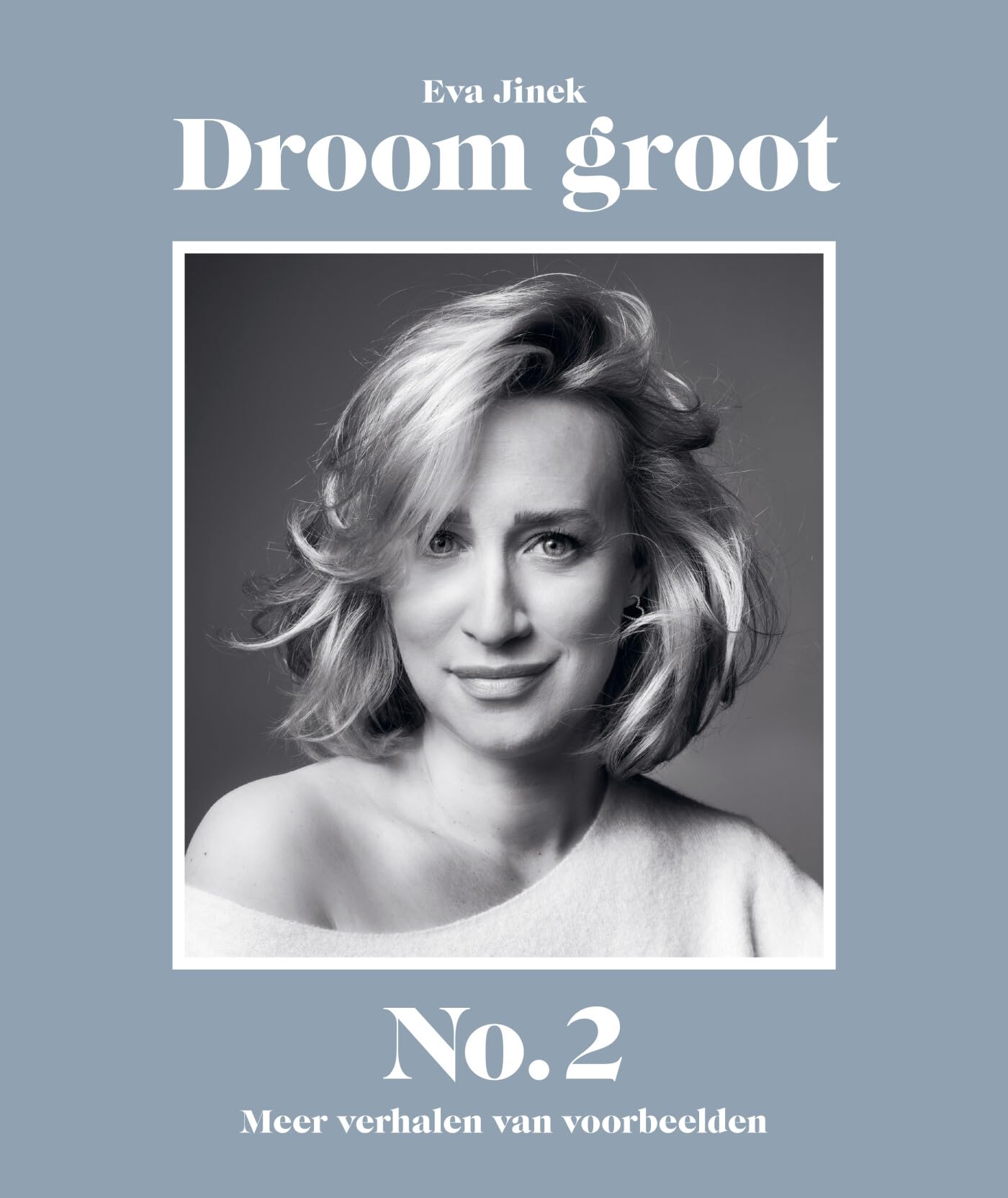 Droom groot No. 2: meer verhalen van voorbeelden Essays & Short Stories