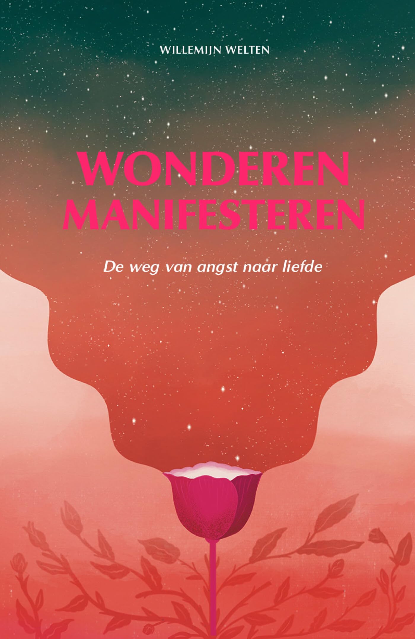 Wonderen manifesteren: de weg van angst naar liefde Business, Finance & Career