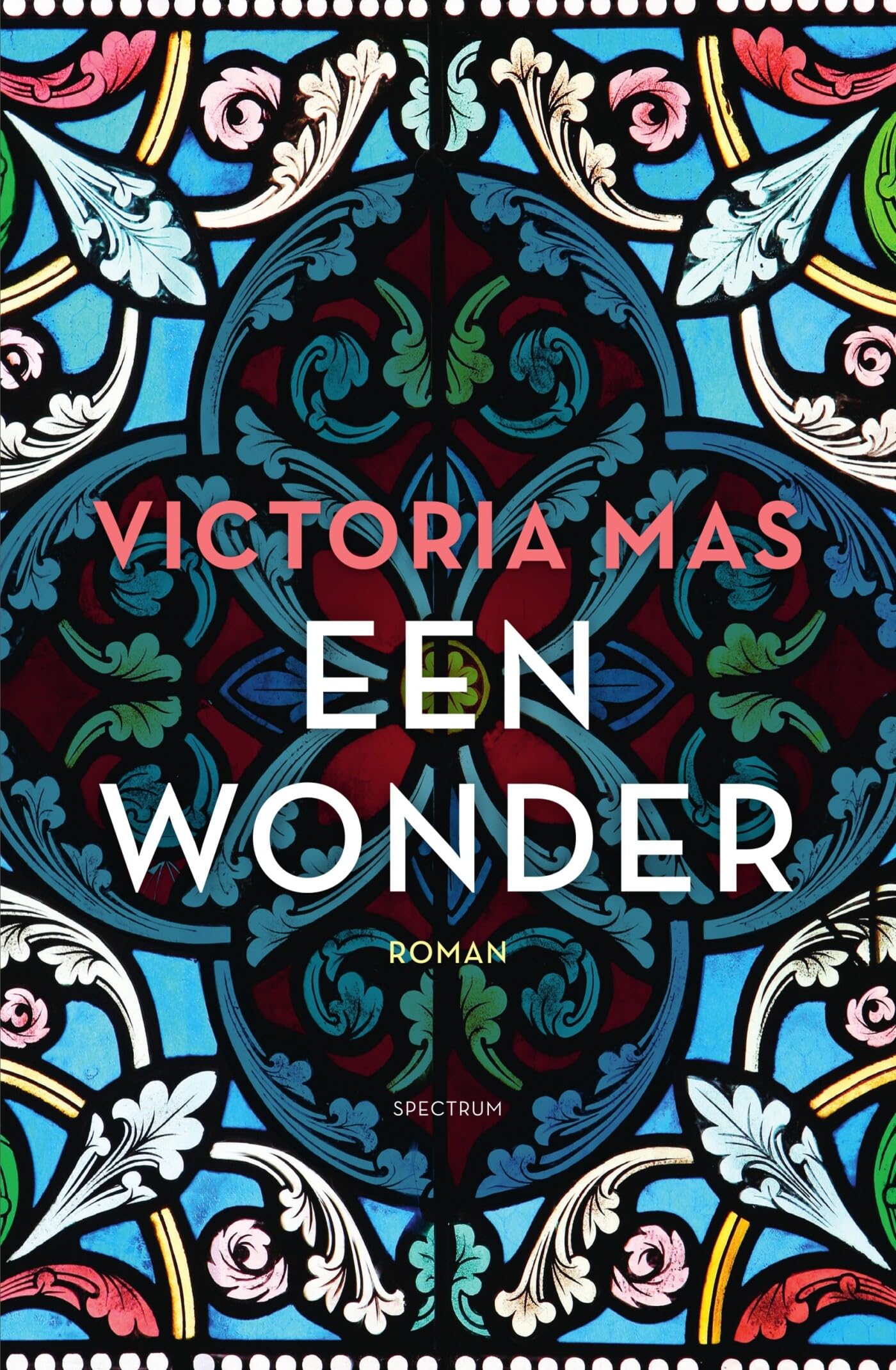 Een wonder: roman book