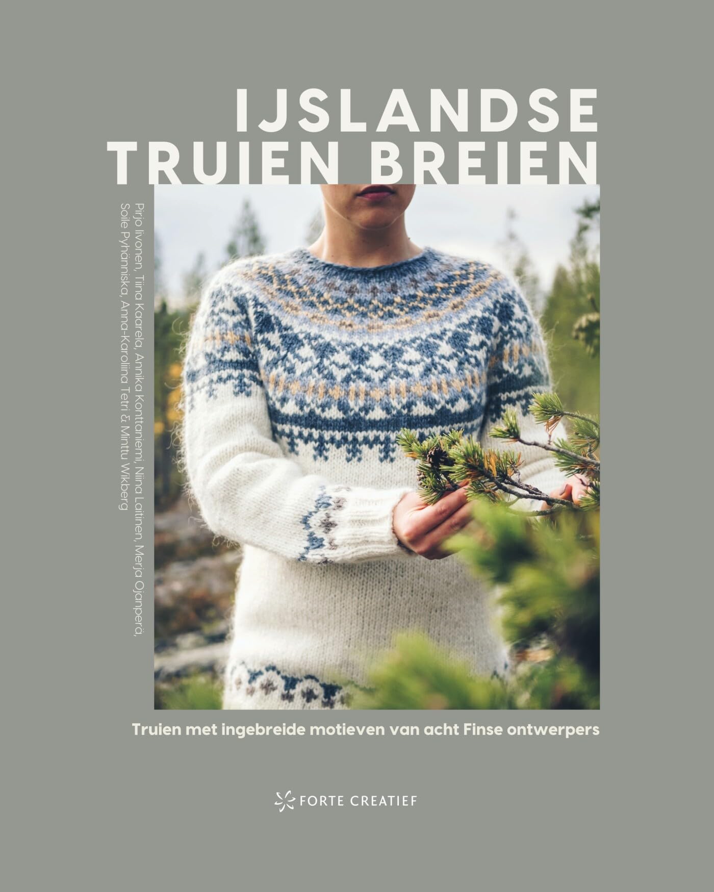IJslandse truien breien: truien met ingebreide motieven van acht Finse ontwerpers Hobbies & Crafts