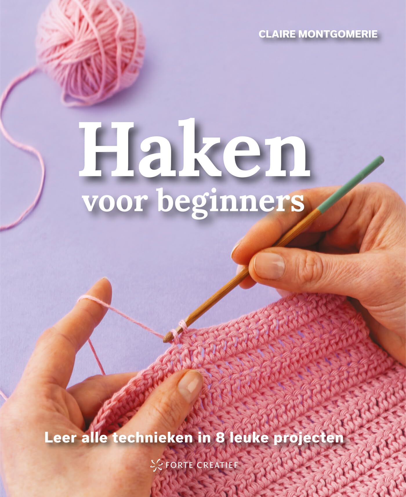 Haken voor beginners: leer alle technieken in 8 leuke projecten book