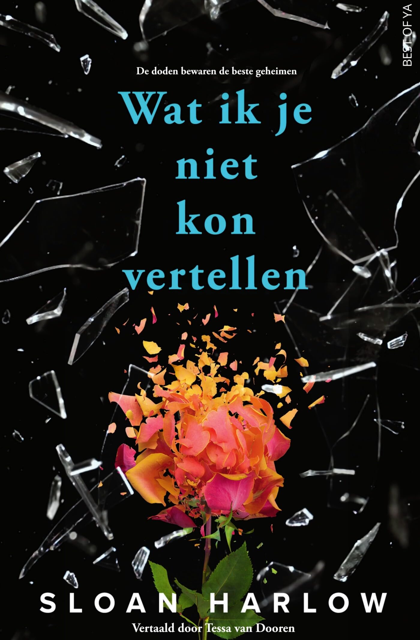 Wat ik je niet kon vertellen book
