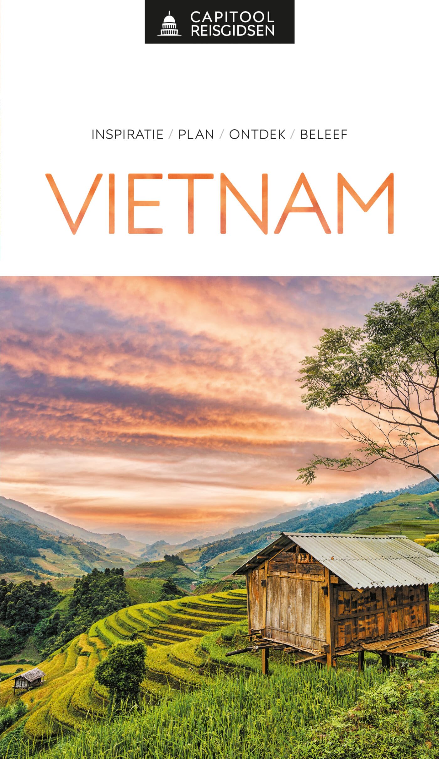 Vietnam: inspiratie, plan, ontdek, beleef book