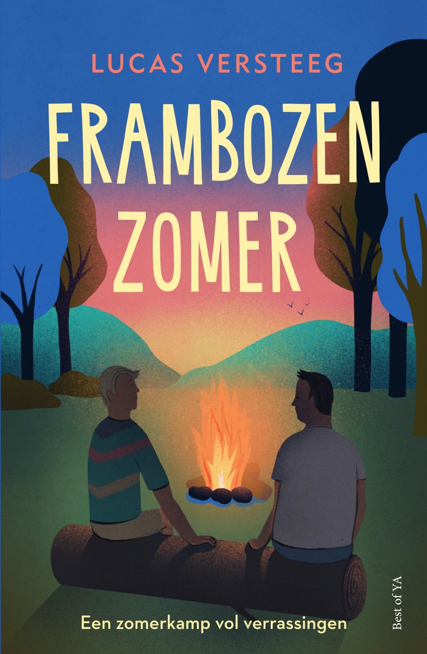 Frambozenzomer: een zomerkamp vol verrassingen (Best of YA) Education