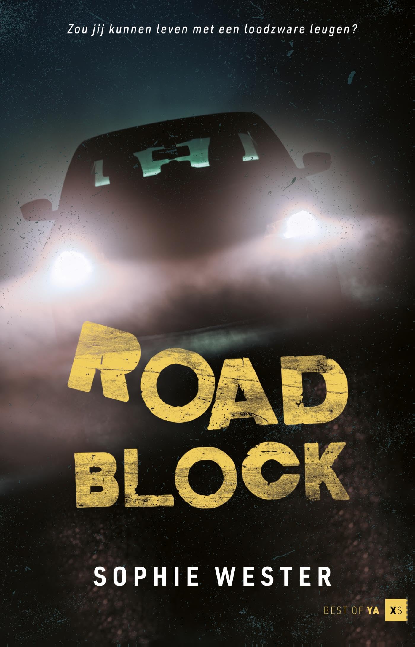 Roadblock: Zou jij kunnen leven met een loodzware leugen? book