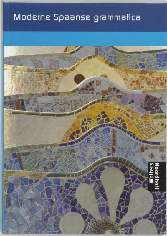 Moderne Spaanse grammatica - theorieboek Non-fiction