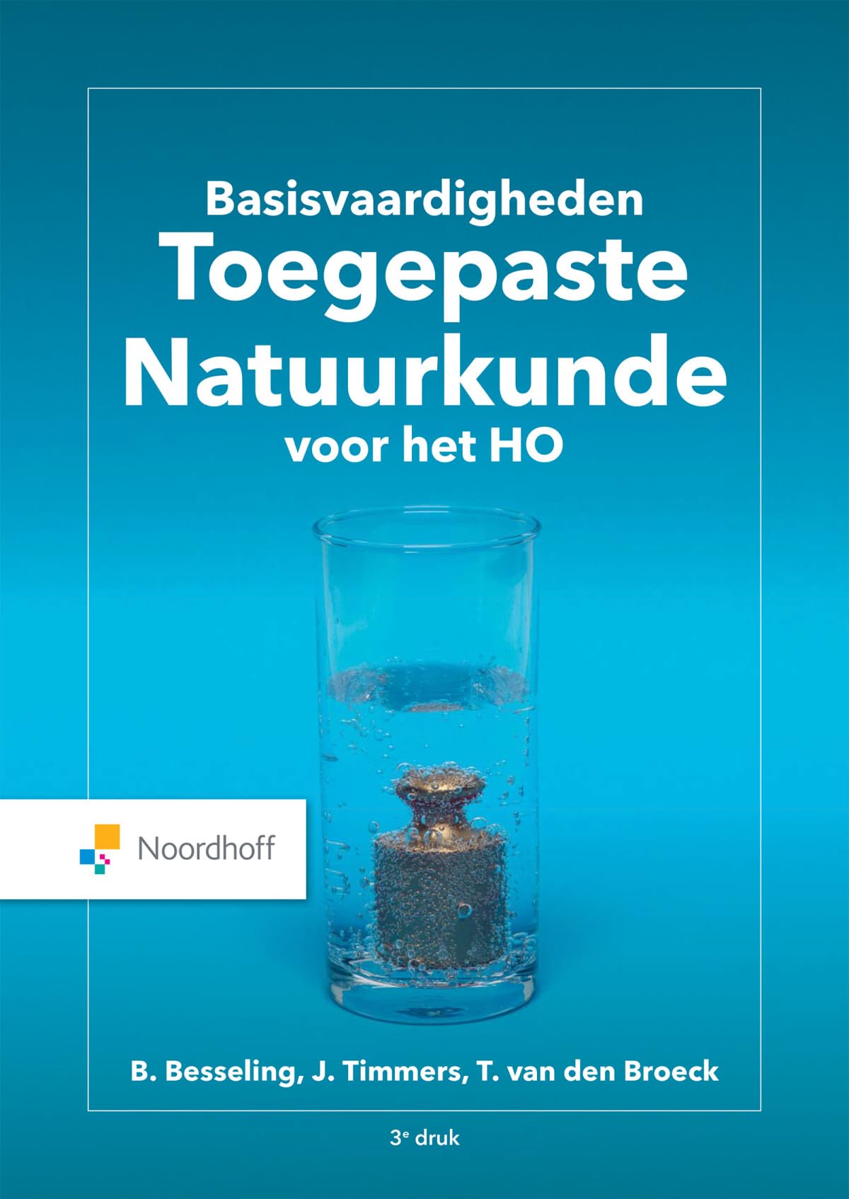 Basisvaardigheden toegepaste natuurkunde voor het HO book