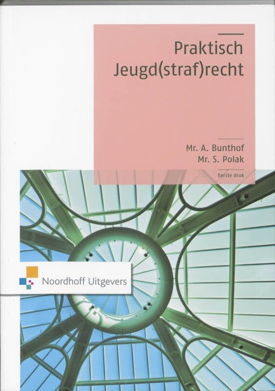 Praktisch Jeugd(straf)recht book