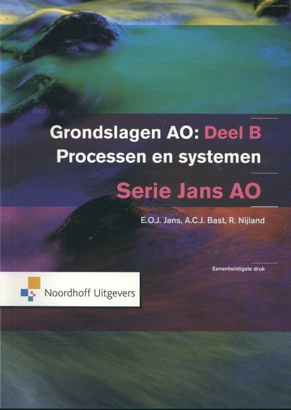 Grondslagen administratieve organisatie: deel B Processen en systemen book
