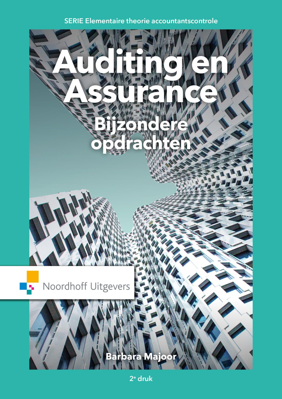 Auditing en Assurance: bijzondere opdrachten book