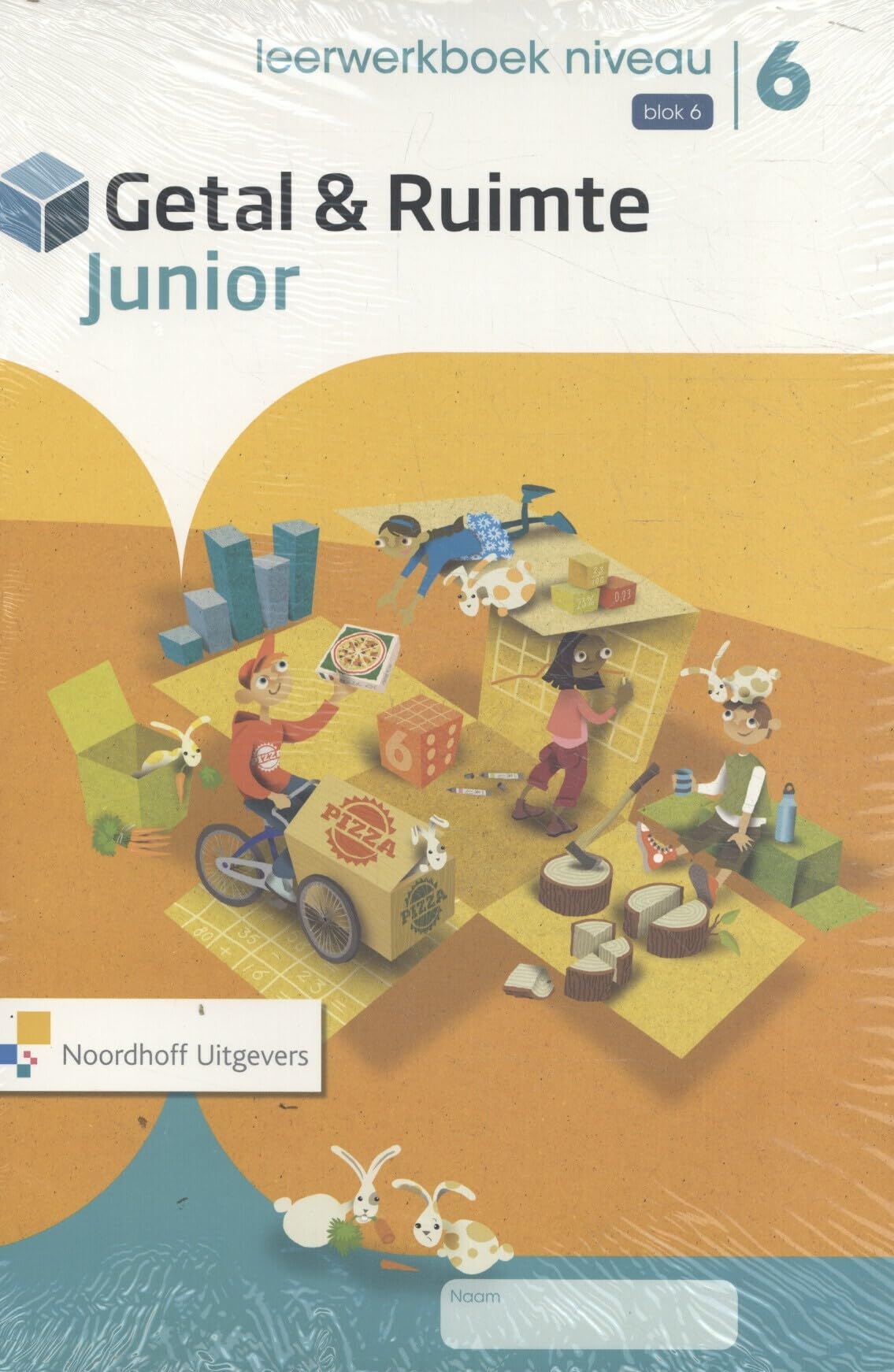 Getal & Ruimte jr 1e editie groep 6 leerwerkboek niveau blok 6 (5ex) Non-fiction
