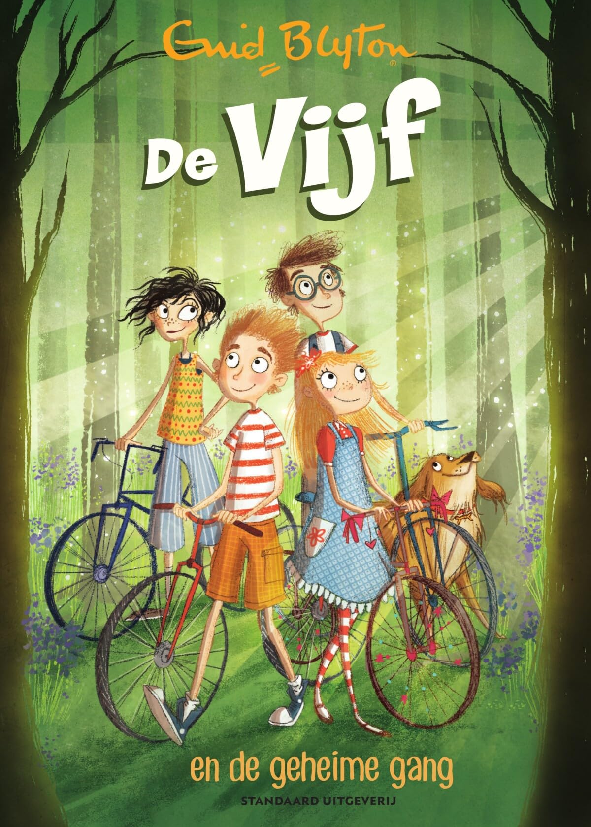 De vijf en de geheime gang (De Vijf, 2) Novels & Short Stories