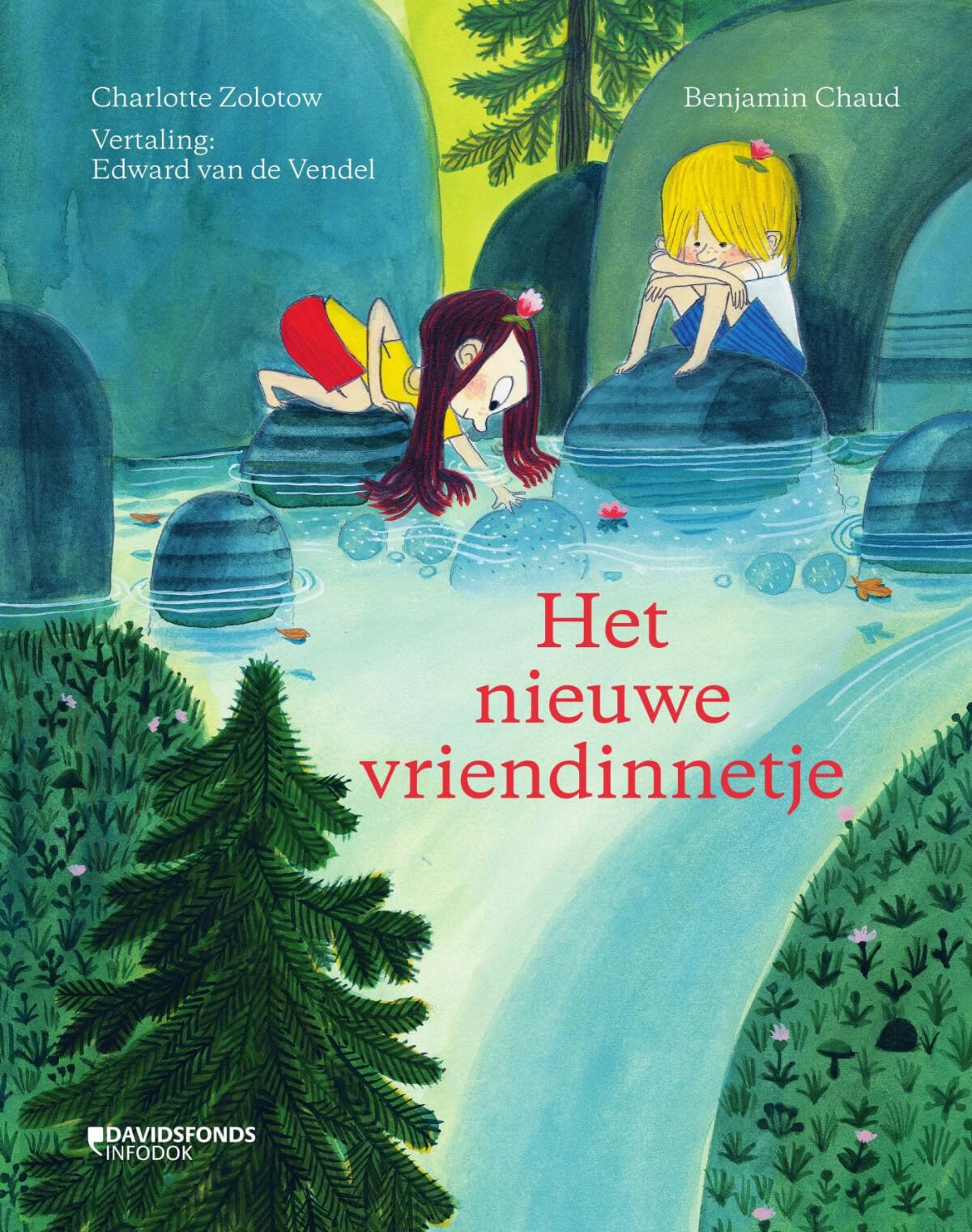 Het nieuwe vriendinnetje Non-fiction
