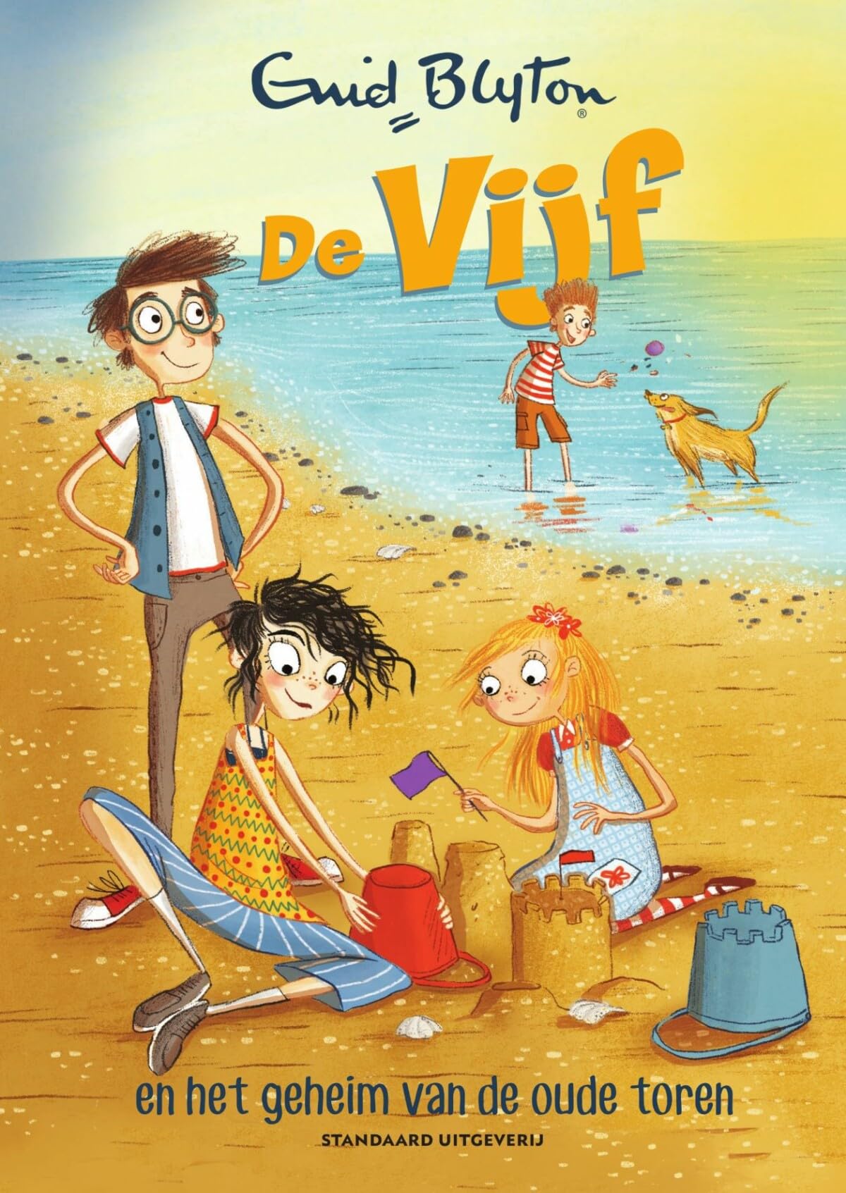 De Vijf en het geheim van de oude toren book