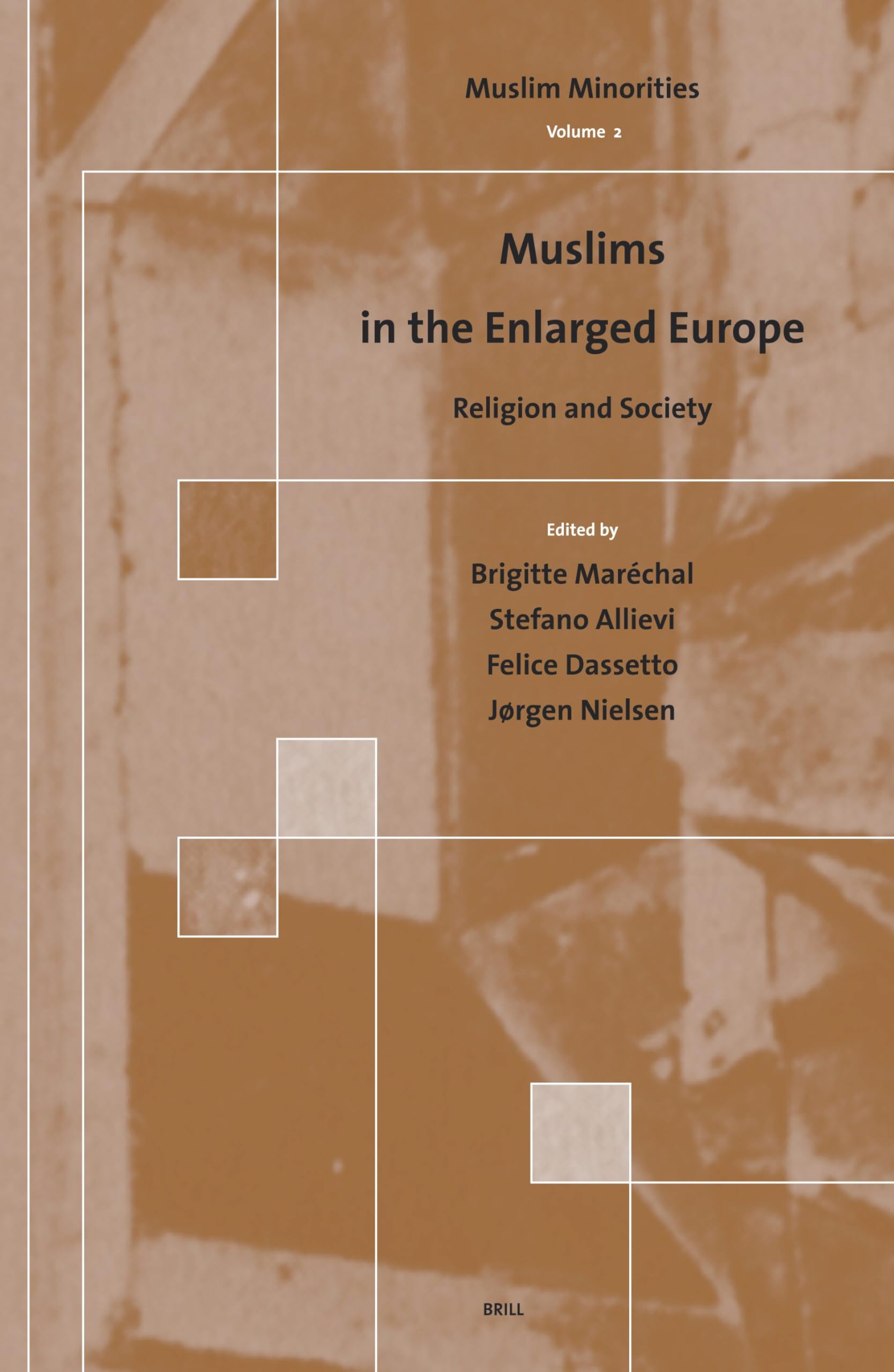 Muslims in the Enlarged Europe Books