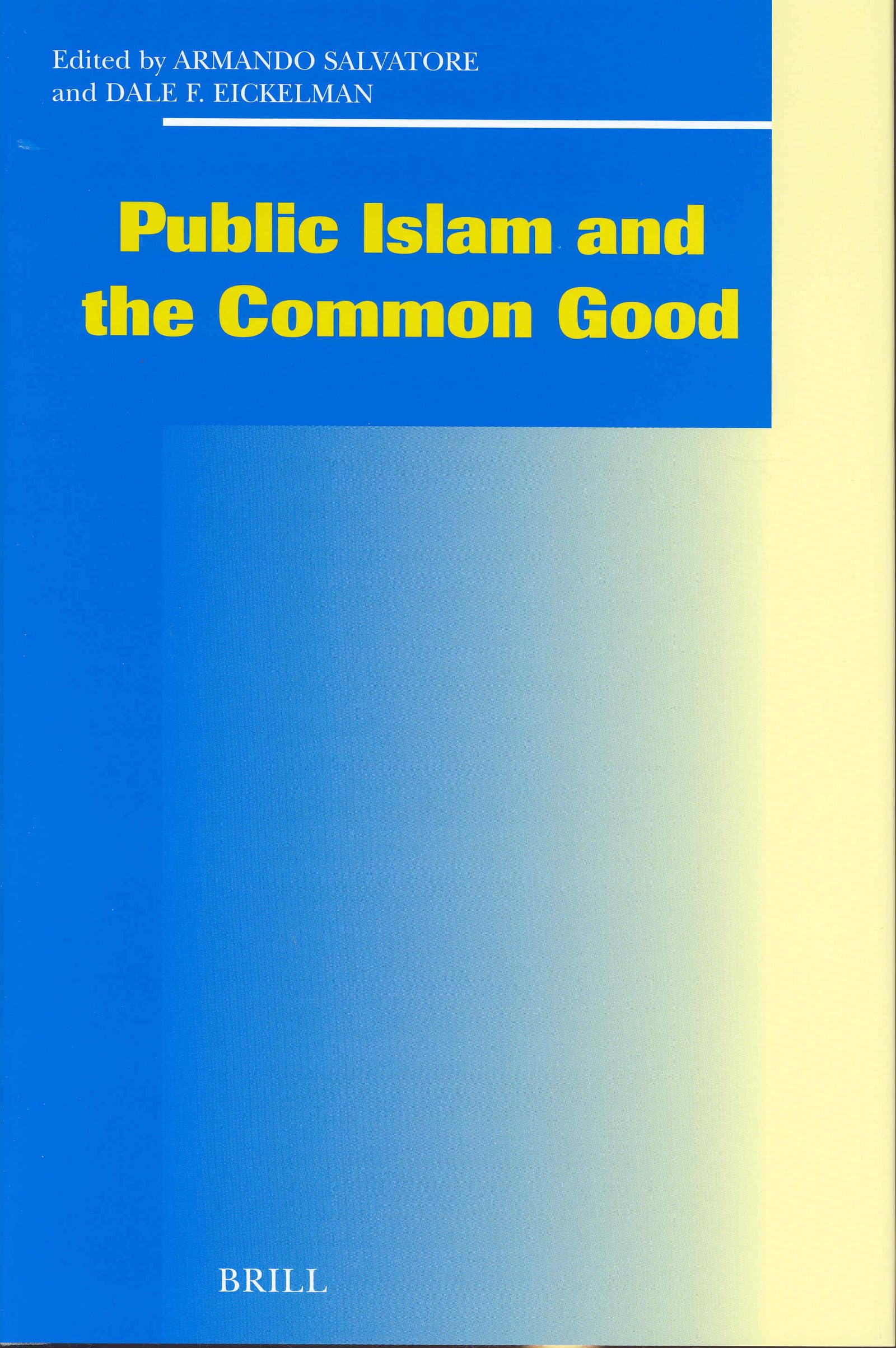 Public Islam and the Common Good Books