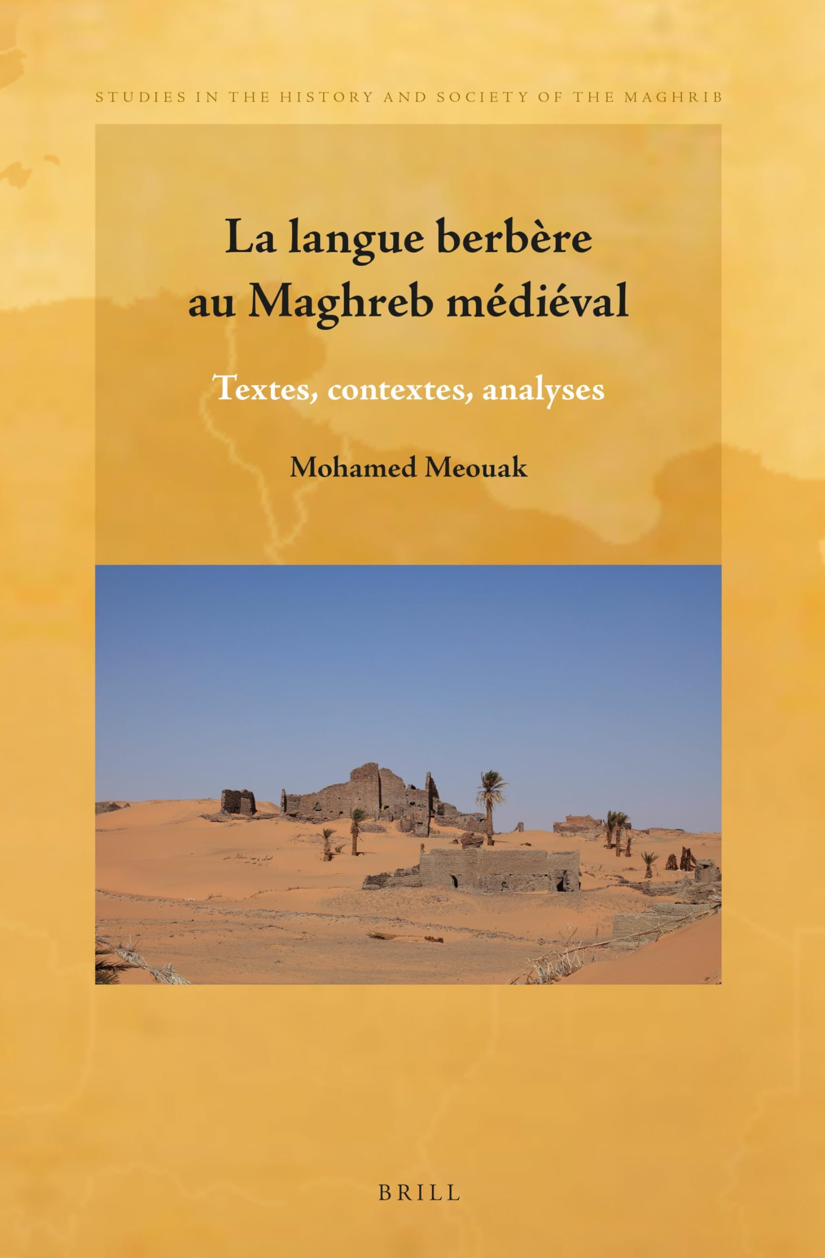 La langue berbère au Maghreb médiéval book