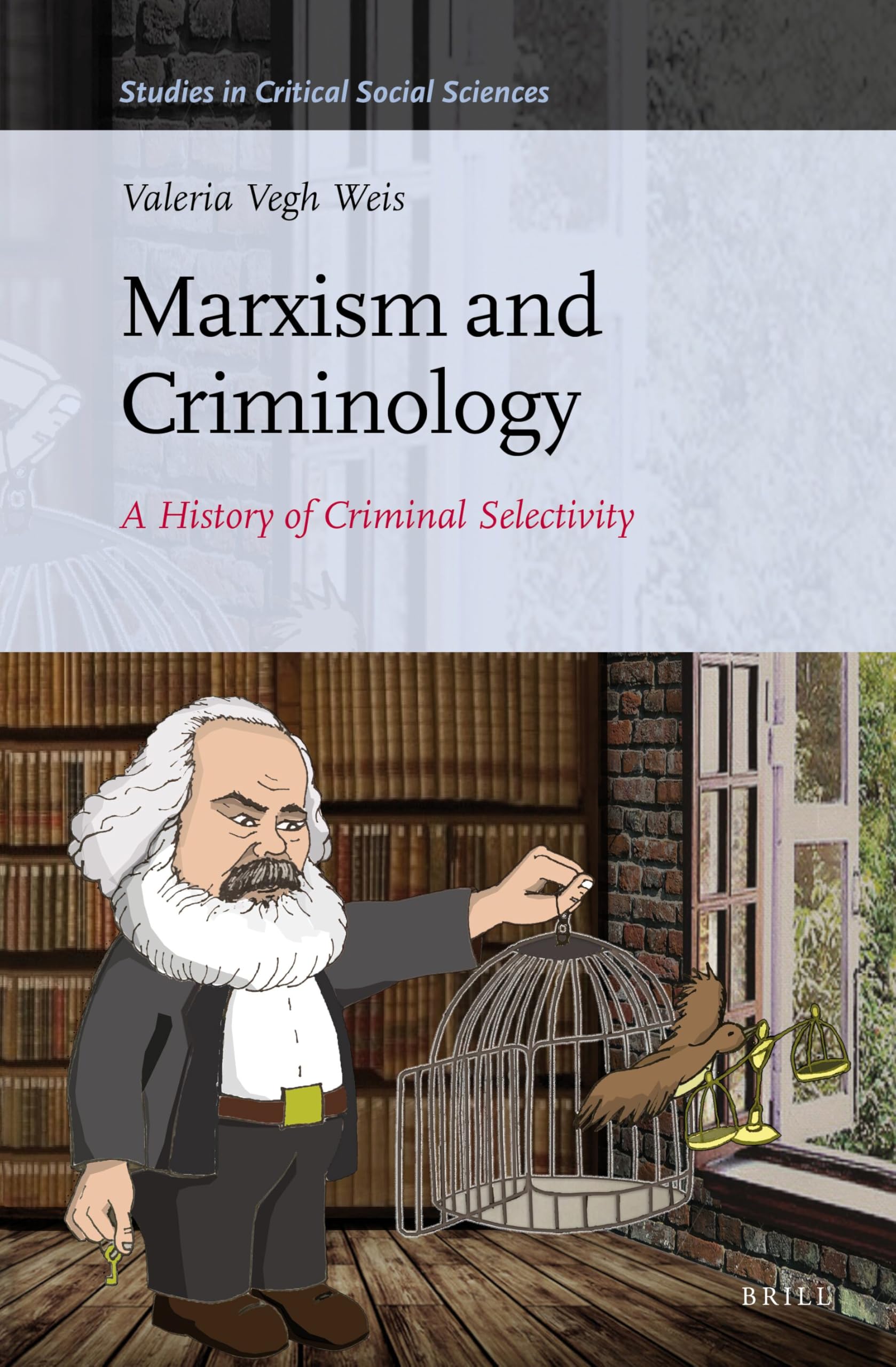Marxism and Criminology Law