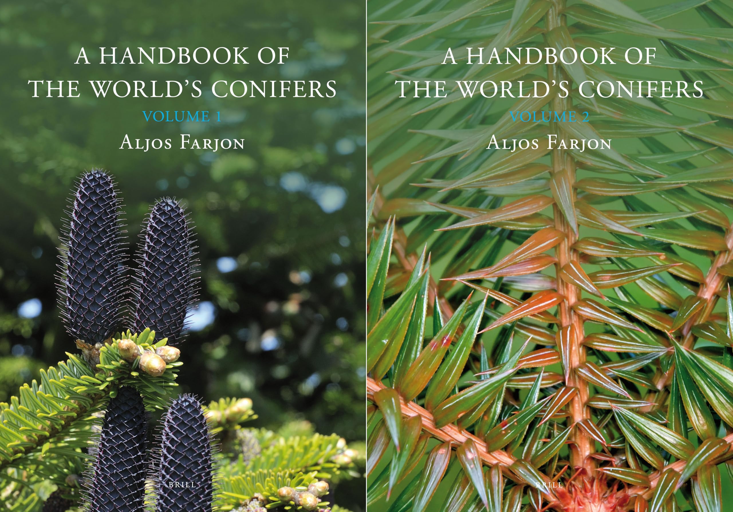 A Handbook of the World's Conifers: Revised and Updated Edition Mathematics