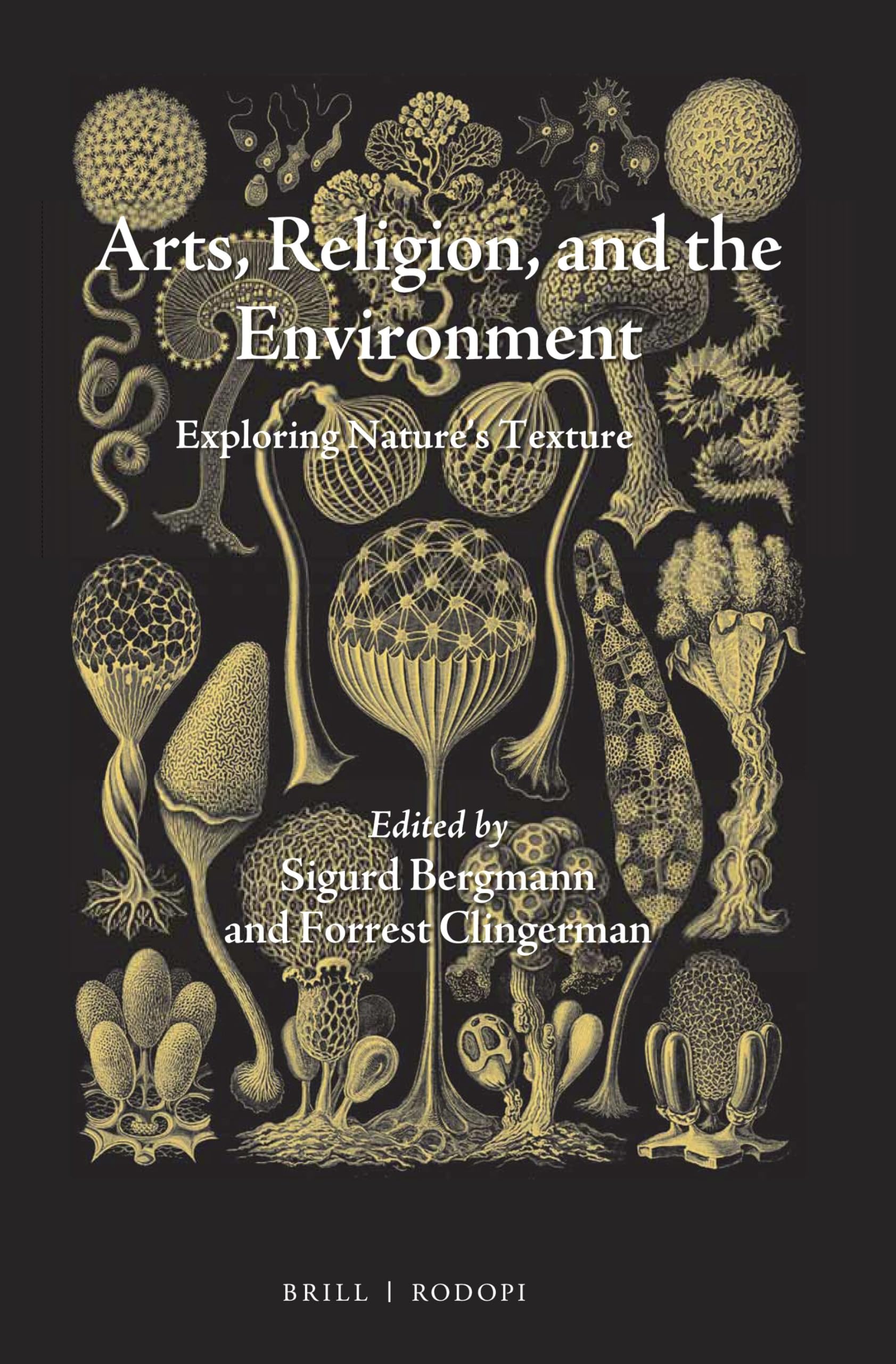 Arts, Religion, and the Environment: Exploring Nature's Texture (Studies in Environmental Humanities, Band 6) Philosophy