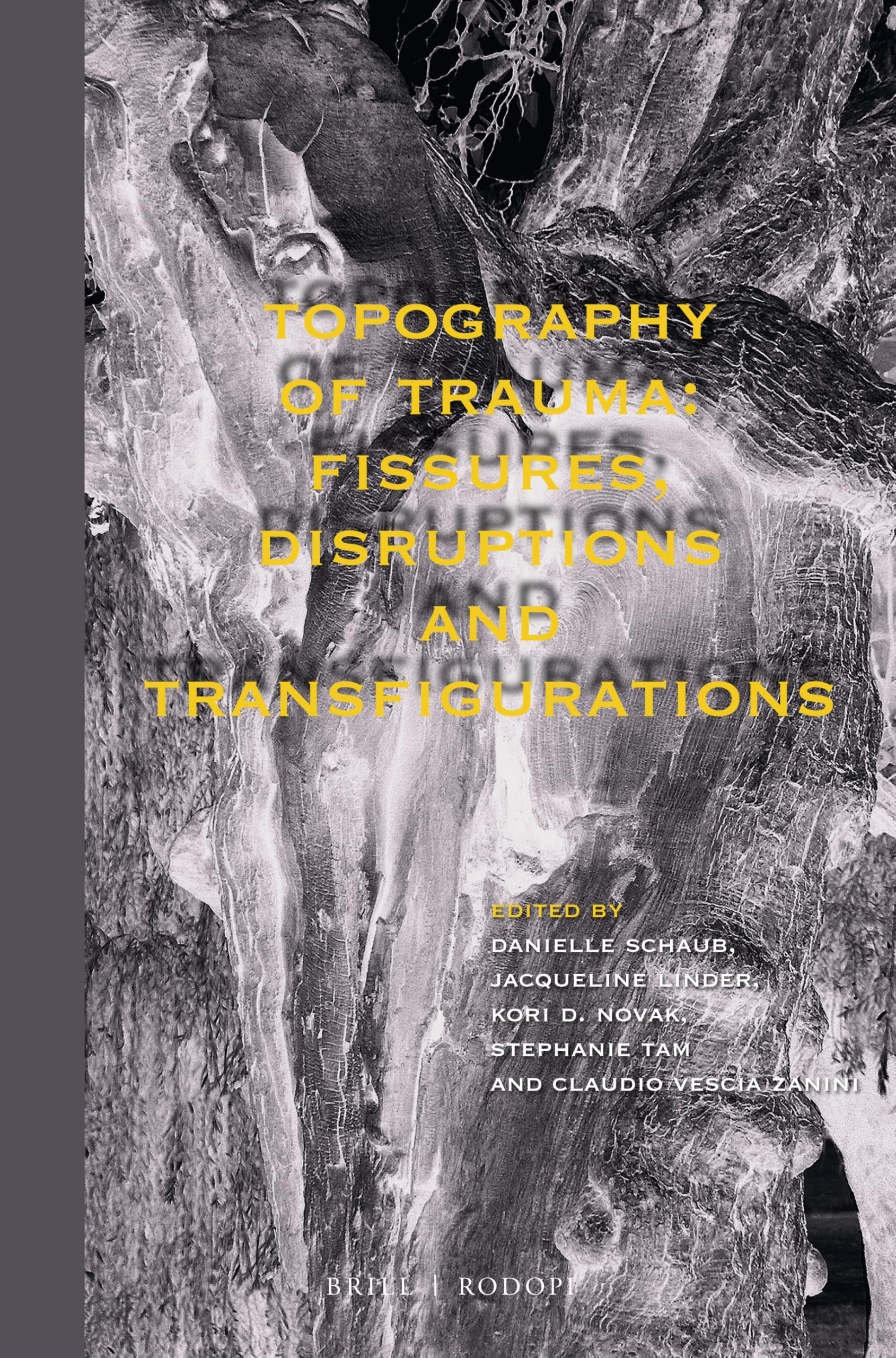 Topography of Trauma: Fissures, Disruptions and Transfigurations (At the Interface / Probing the Boundaries, 126) Social Sciences