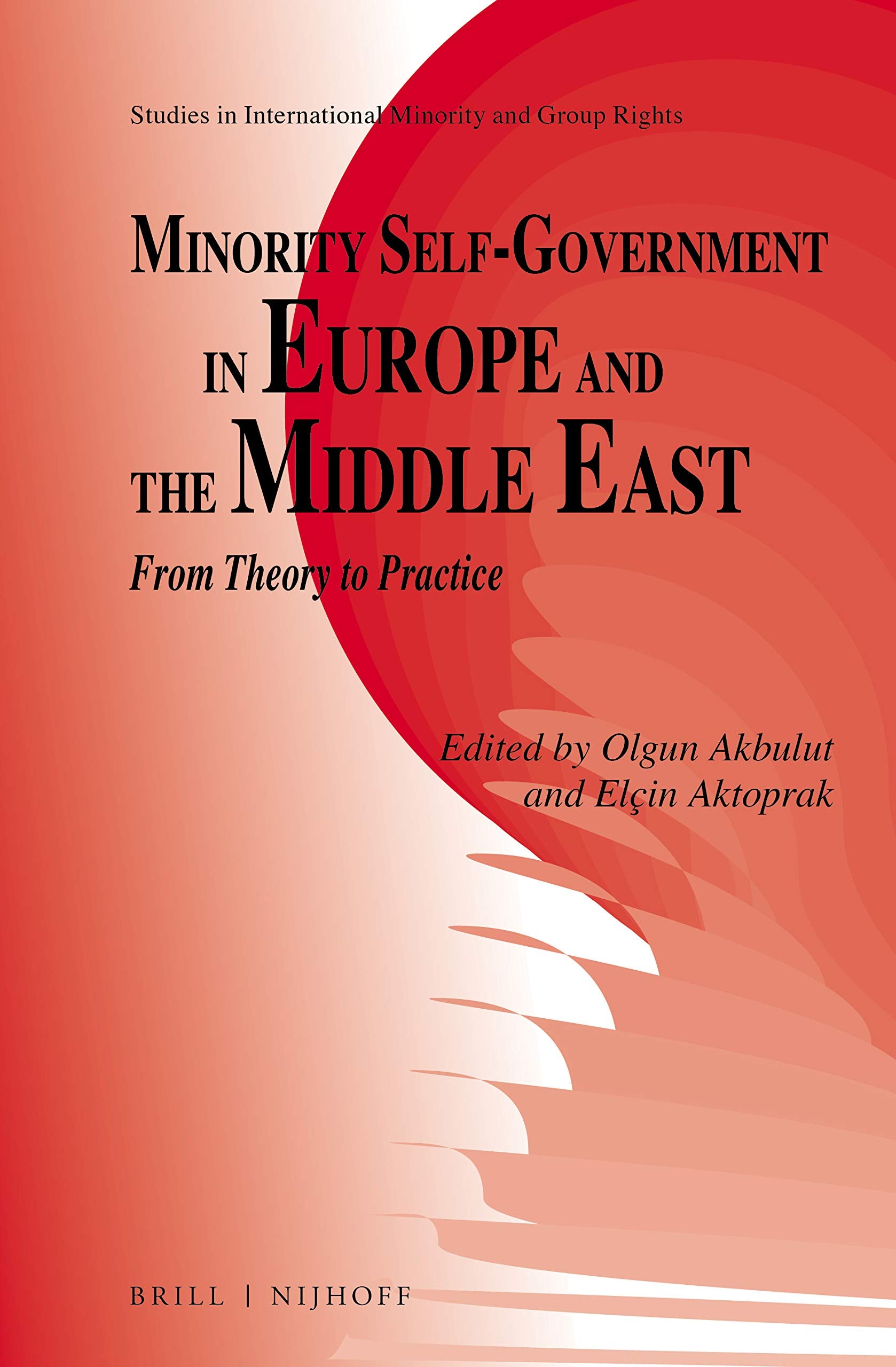 Minority Self-Government in Europe and the Middle East: From Theory to Practice (Studies in International Minority and Group Rights, 15) Law