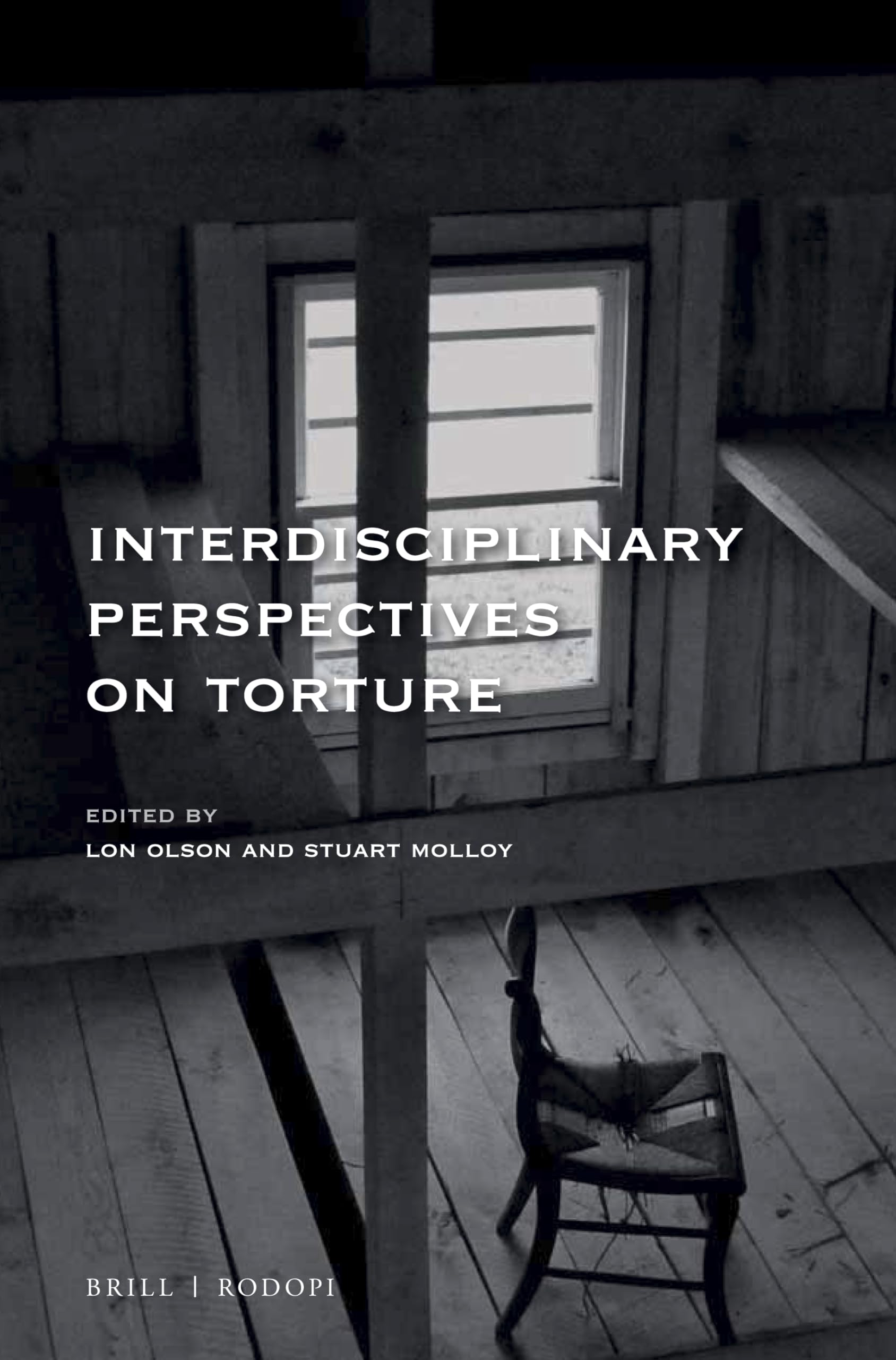 Interdisciplinary Perspectives on Torture (At the Interface / Probing the Boundaries, 127) Social Sciences