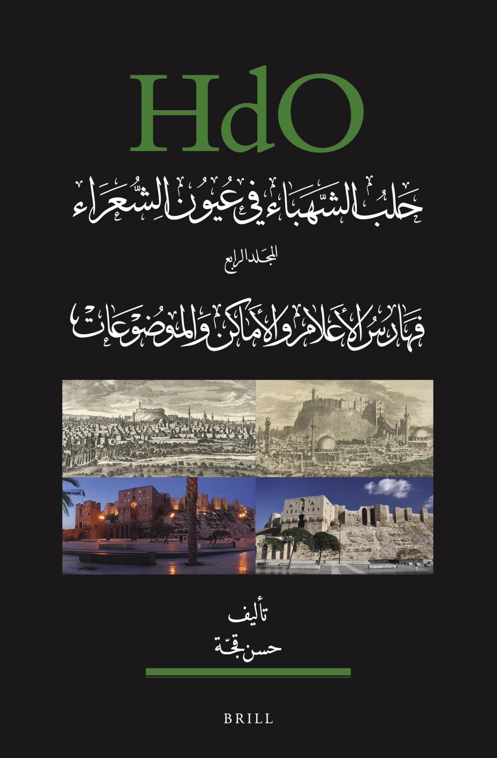 ??? ????? ???????/ Aleppo Through Poets' Eyes: ????? ??????? ???????? ??????????/ Indices of Places, Names, and Topics (4) (Handbook of Oriental ... 1 The Near and Middle East, 164, Band 4) Poetry