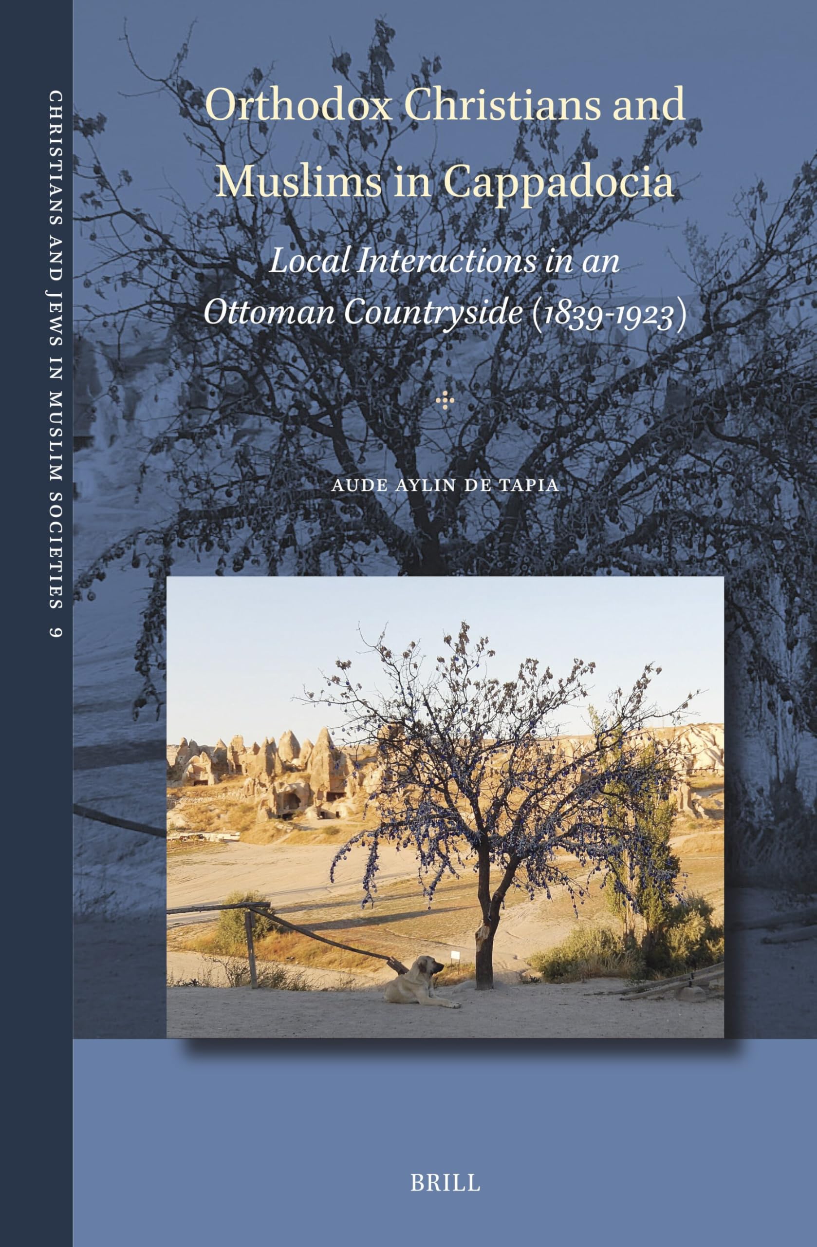 Orthodox Christians and Muslims in Cappadocia: Local Interactions in an Ottoman Countryside (1839-1923) (Christians and Jews in Muslim Societies, Band 9) Social Sciences