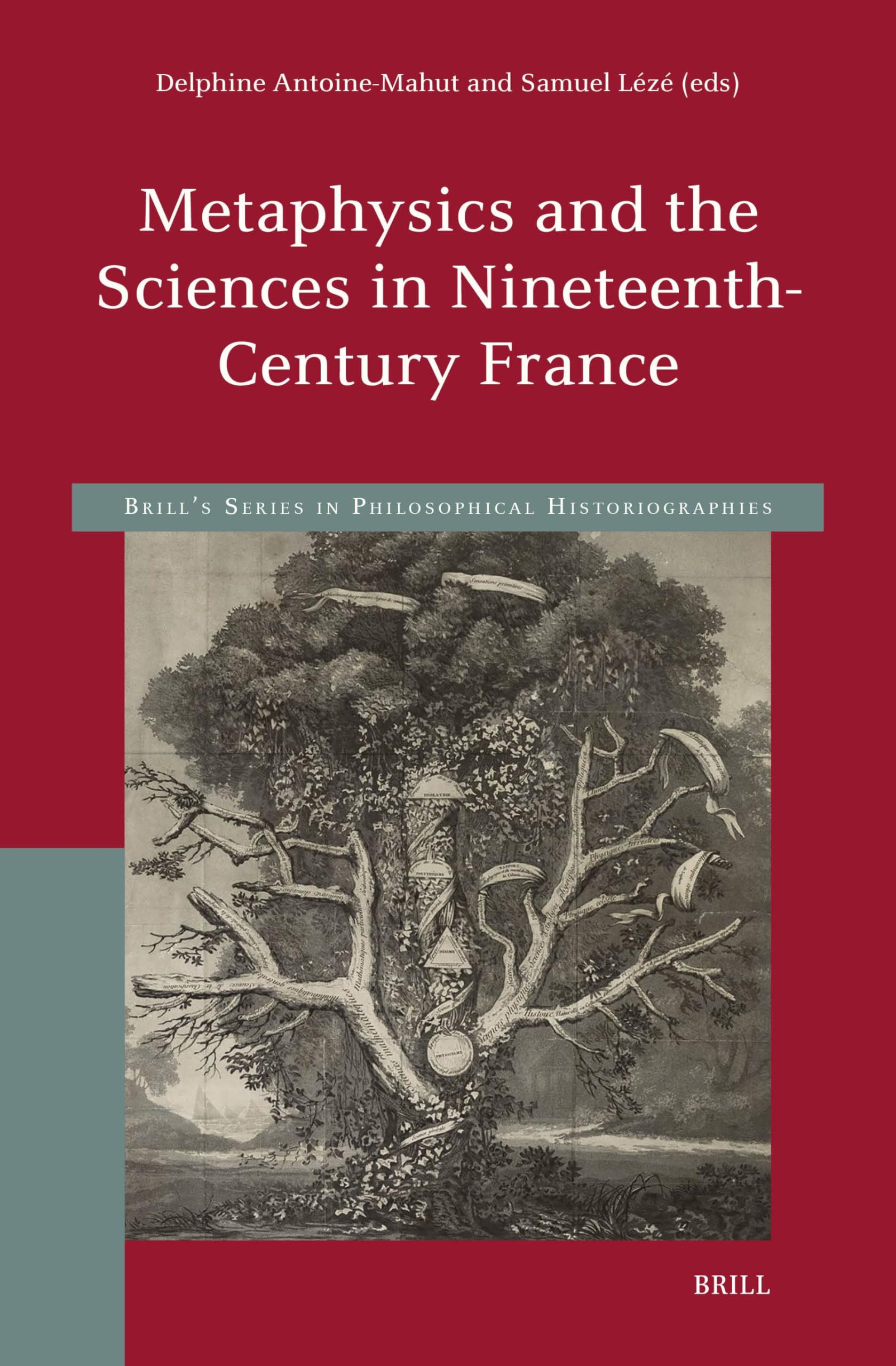 Metaphysics and the Sciences in Nineteenth-Century France (Brill's Philosophical Historiographies, Band 3) Philosophy