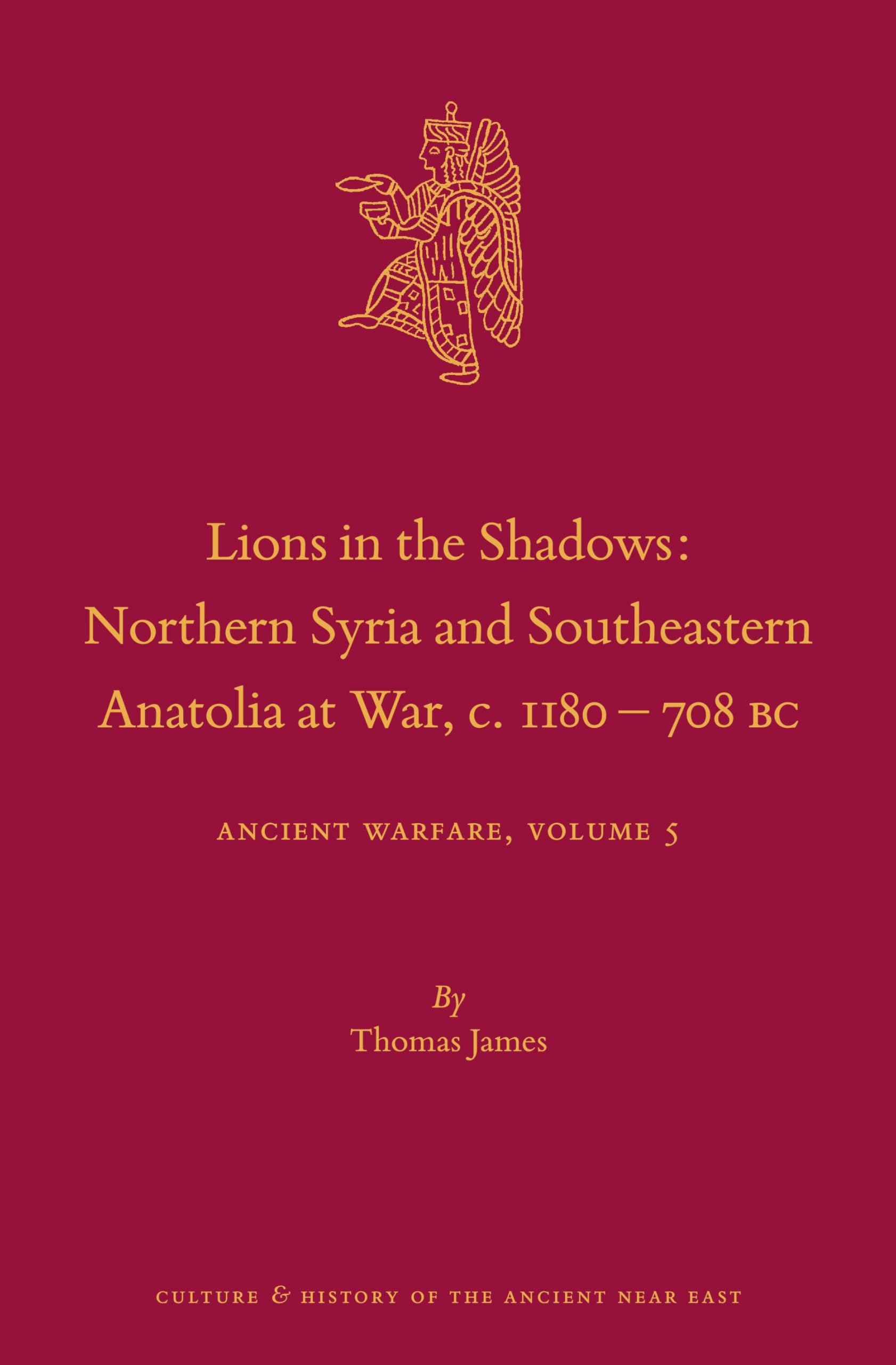 Lions in the Shadows: Northern Syria and Southeastern Anatolia at War, C.1180-708 BC: Ancient Warfare Series Volume 5 (Culture and History of the Ancient Near East) Science Books
