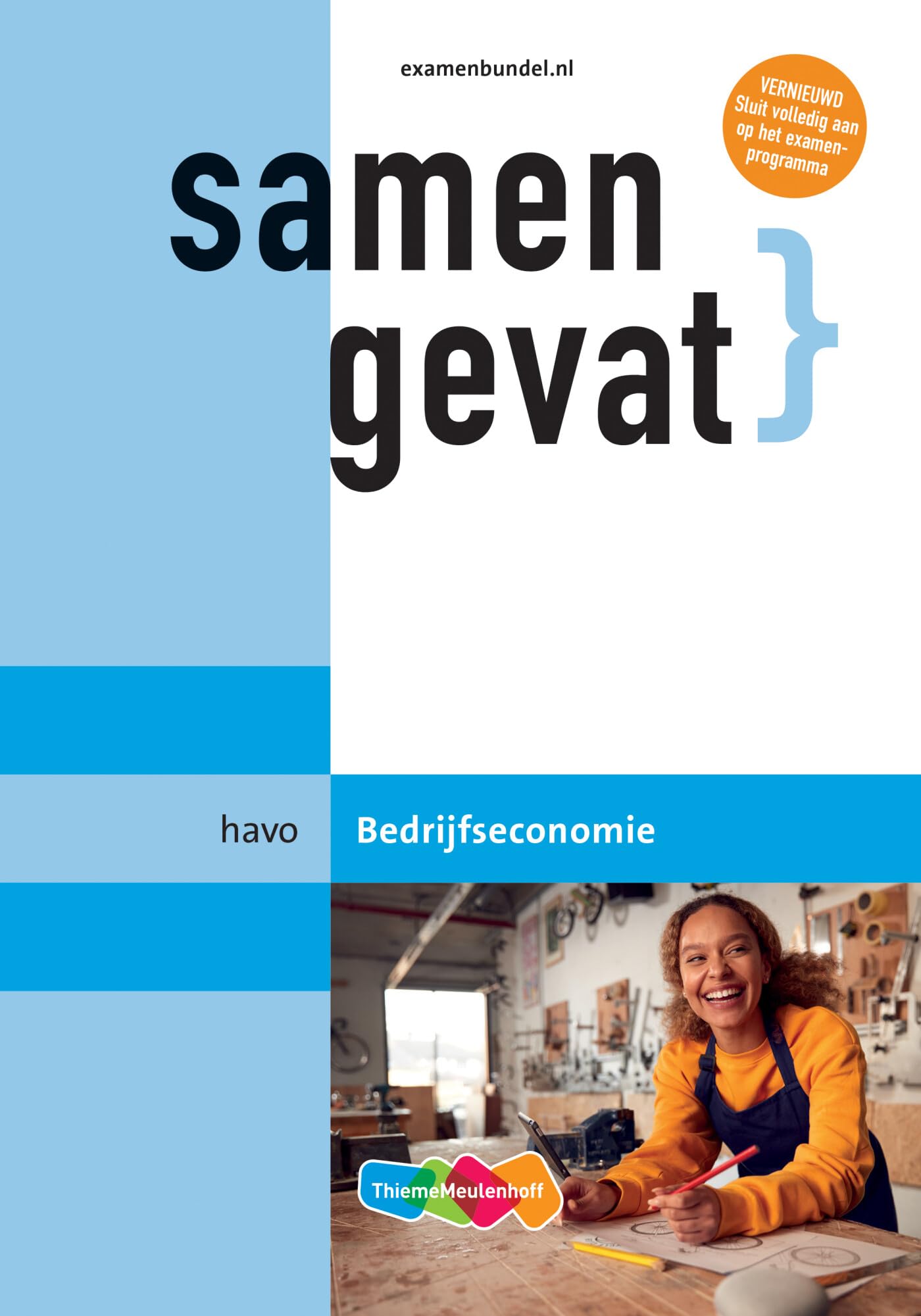 havo Bedrijfseconomie book
