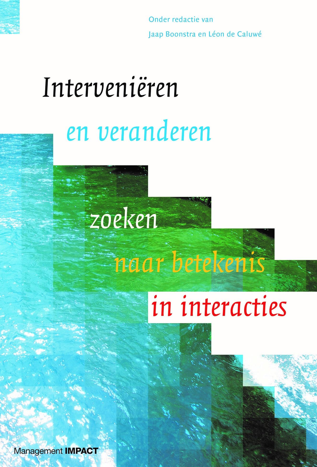 Intervenieren en veranderen: zoeken naar betekenis in interacties book
