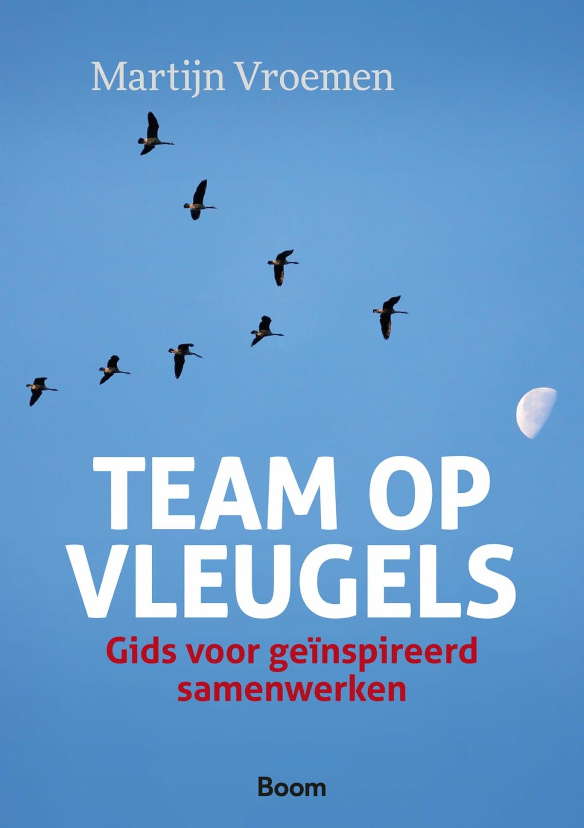 Team op vleugels: gids voor geiinspireerd samenwerken book
