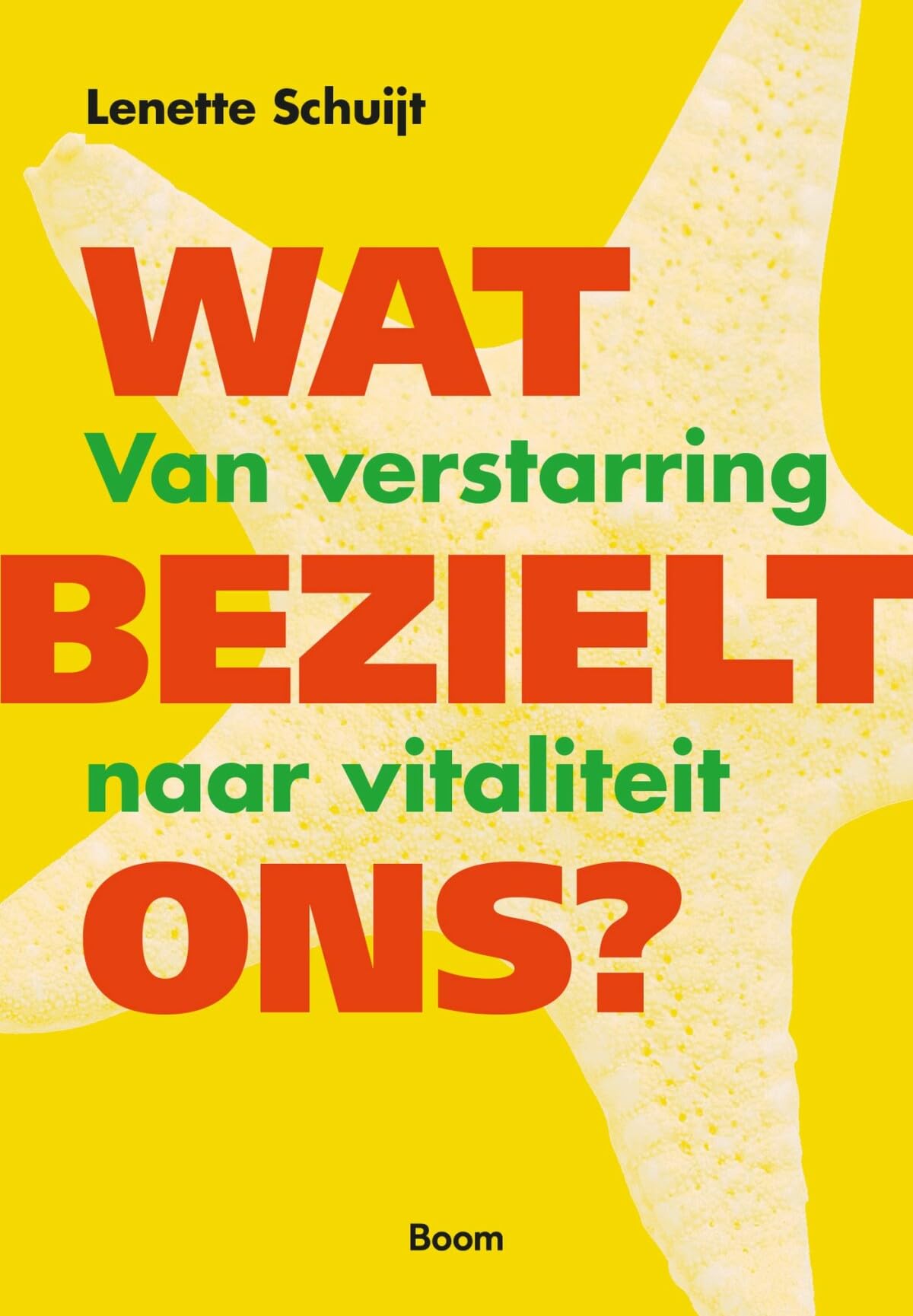 Wat bezielt ons: van verstarring naar vitaliteit Business, Finance & Career