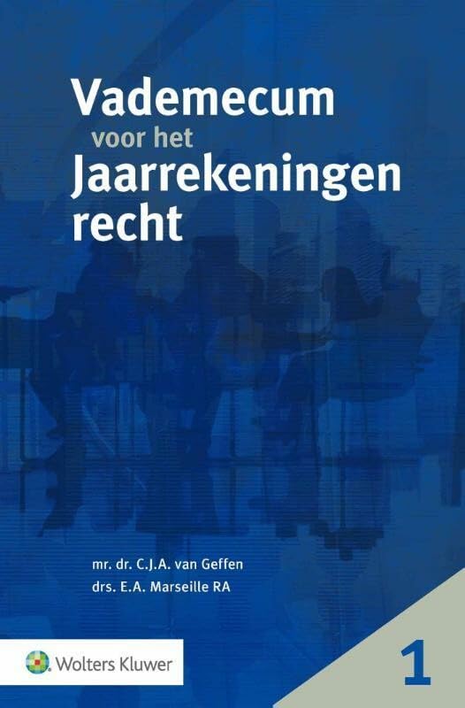 Vademecum voor het jaarrekeningenrecht book