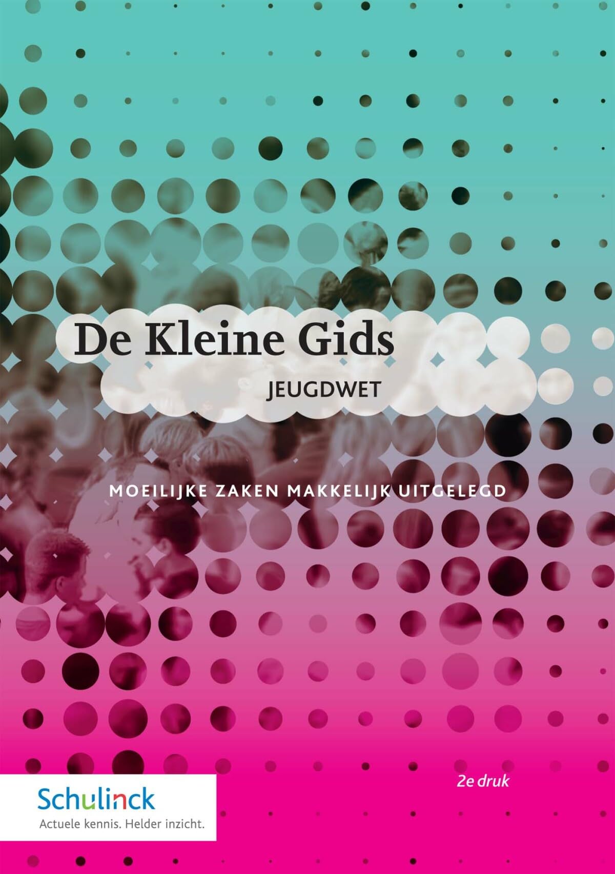 De Kleine Gids Jeugdwet book