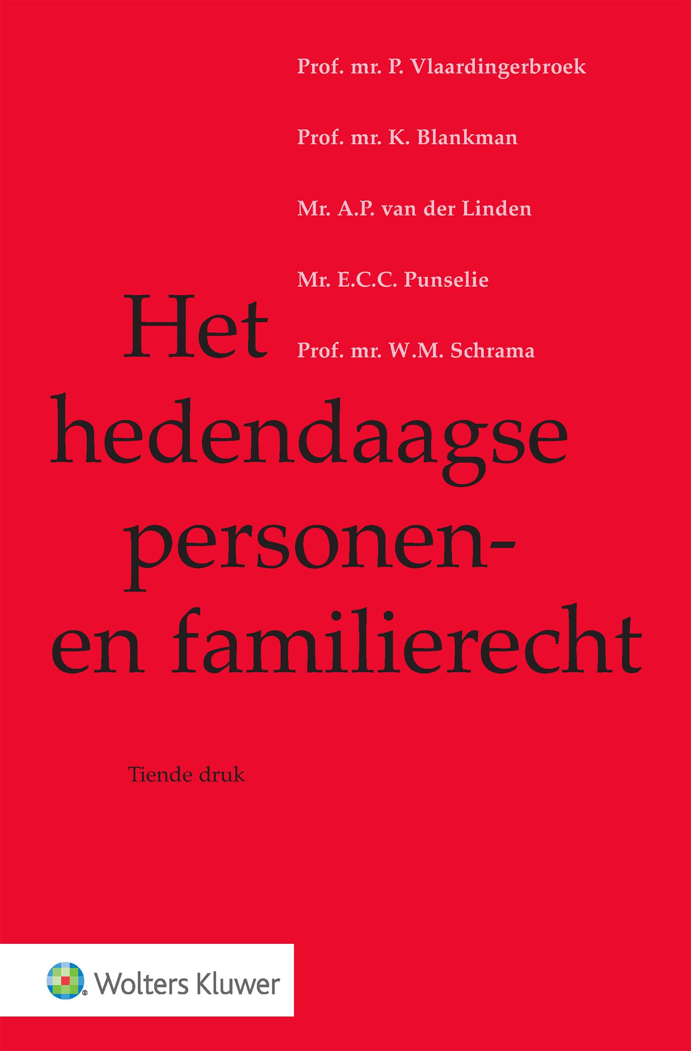 Het hedendaagse personen- en familierecht book