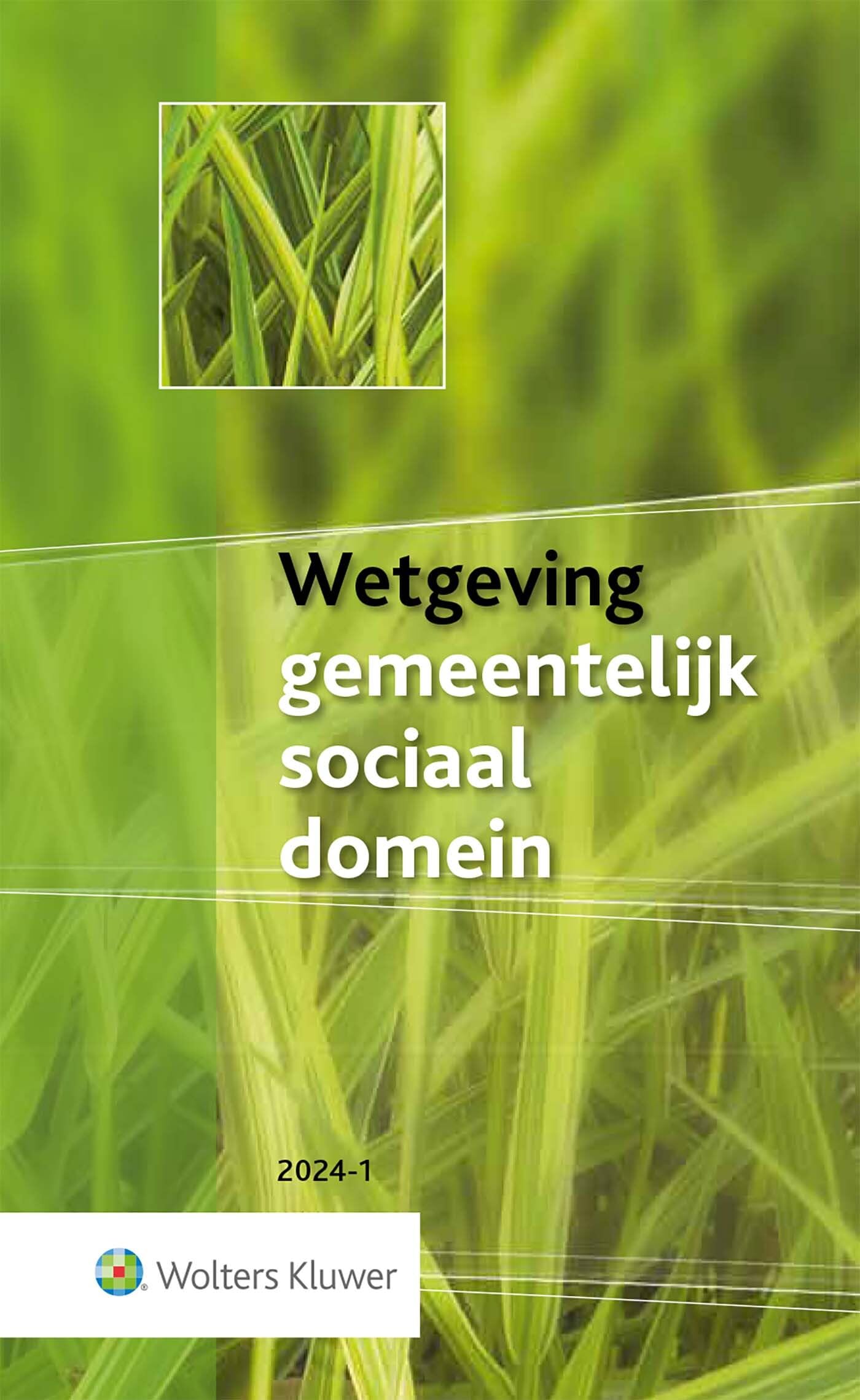 Wetgeving gemeentelijk sociaal domein 2024-1 book