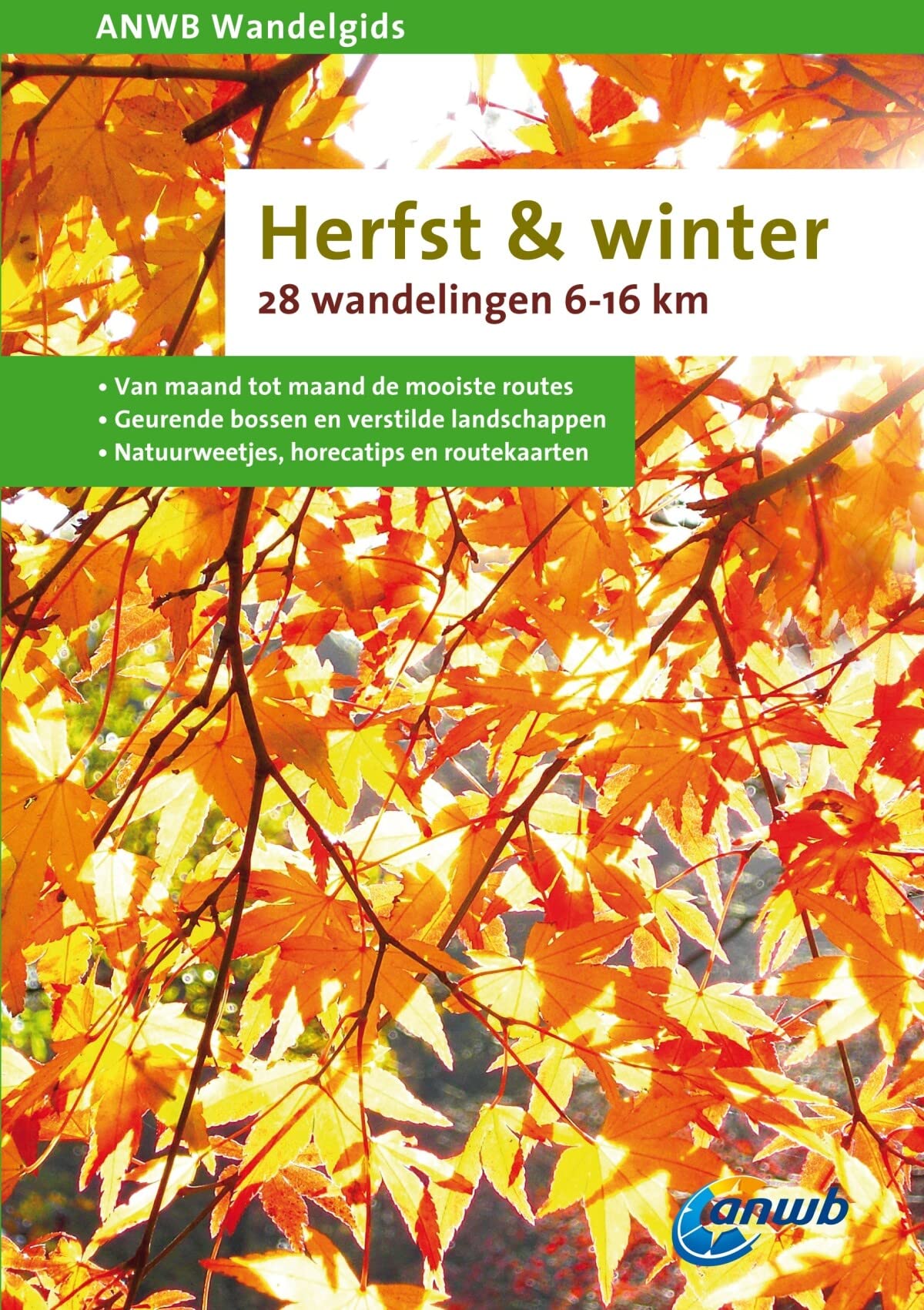 ANWB Wandelgids Herfst & Winter: De 28 mooiste wandelingen van maand tot maand book
