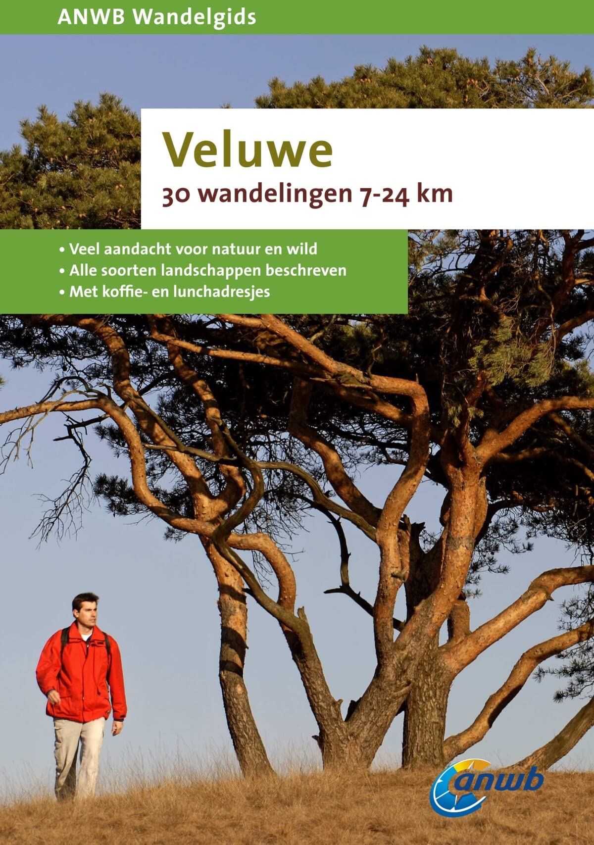 Veluwe: 30 wandelingen 7-24 km (ANWB wandelgidsen) Travel