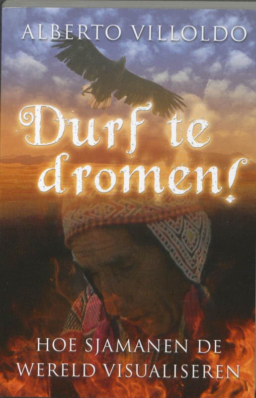 Durf te dromen!: hoe sjamanen de wereld visualiseren Business, Finance & Career