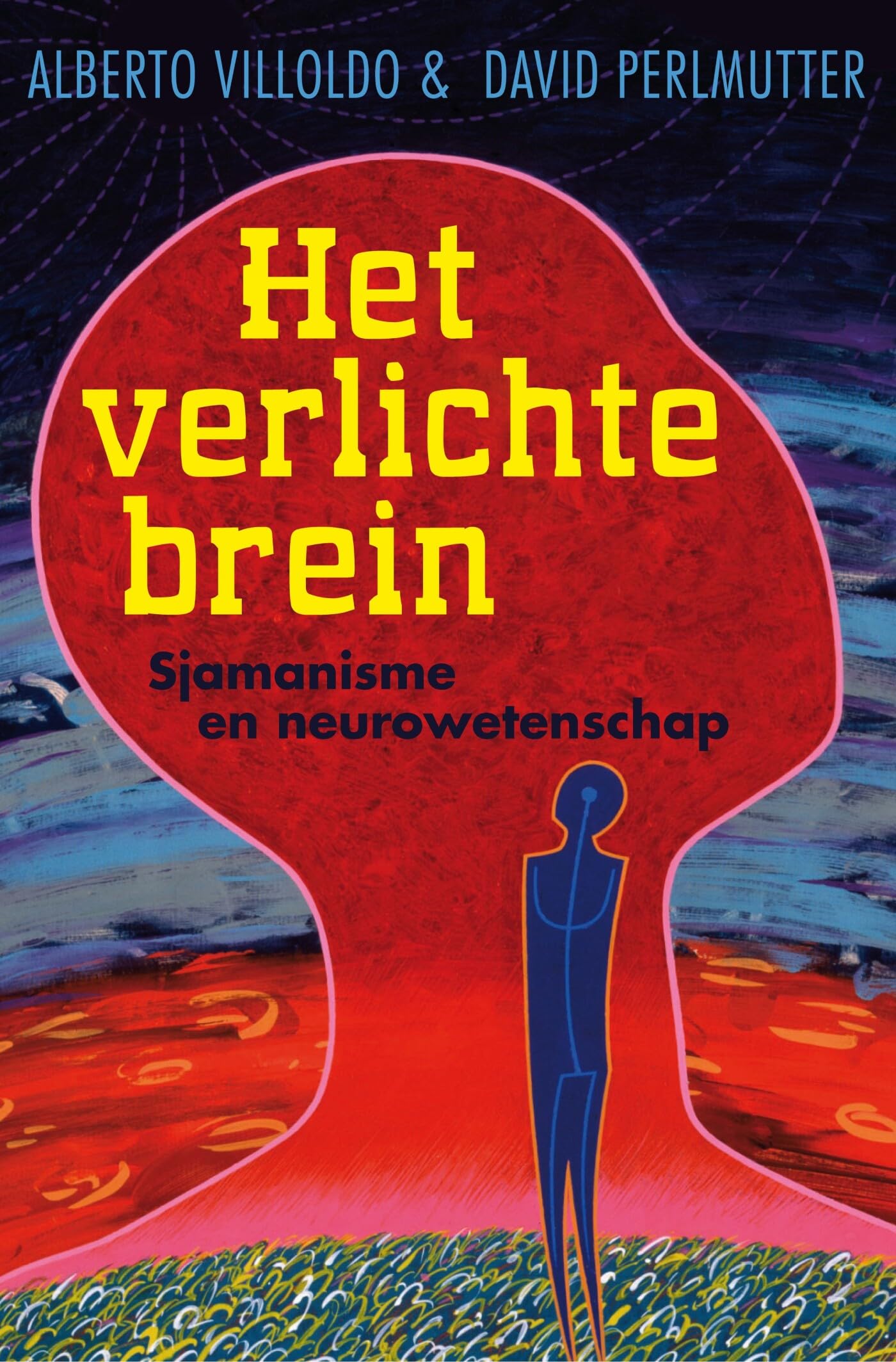 Het verlichte brein: sjamanisme en neurowetenschap book